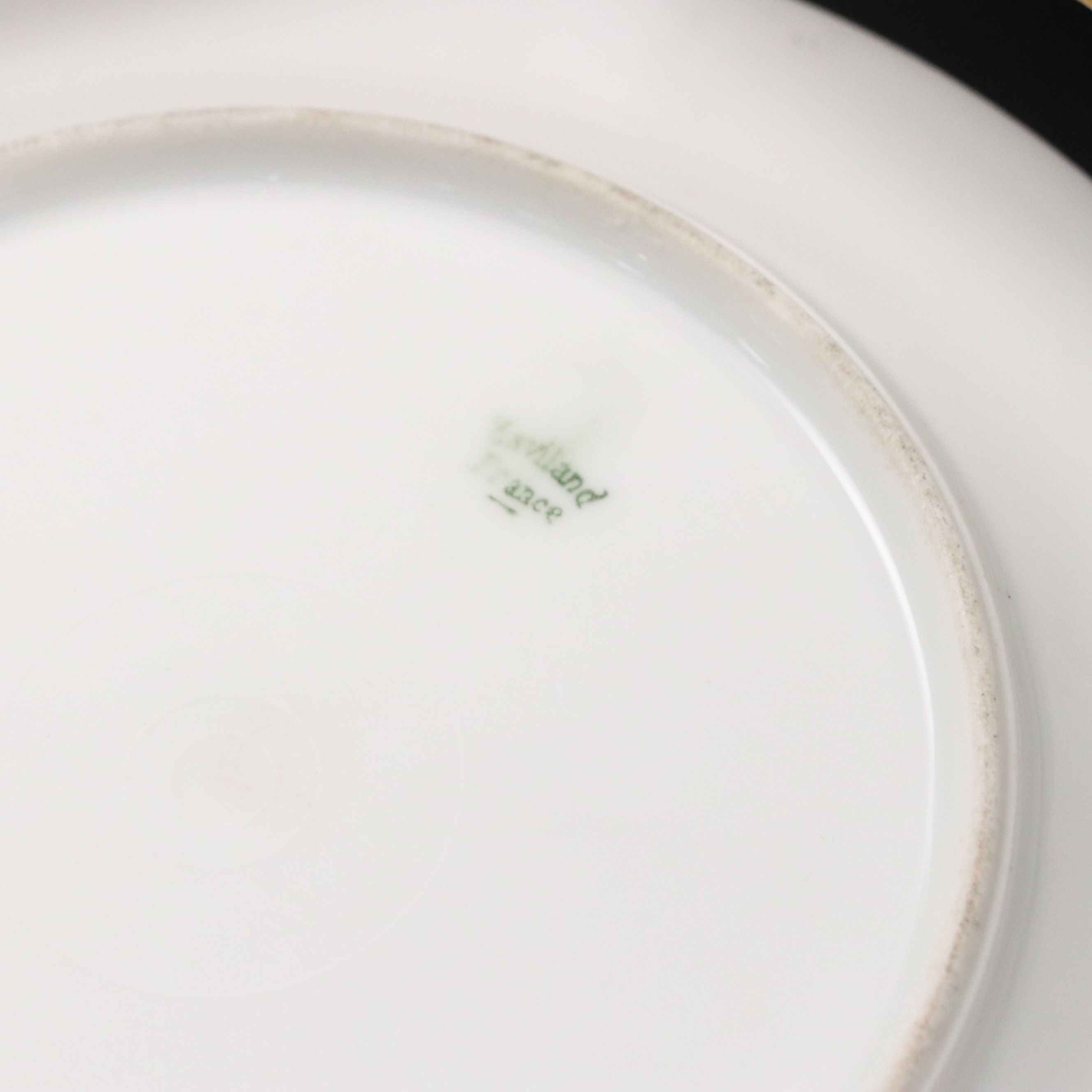 Haviland Limoges "Monceau" Dinnerware and Serving Pieces