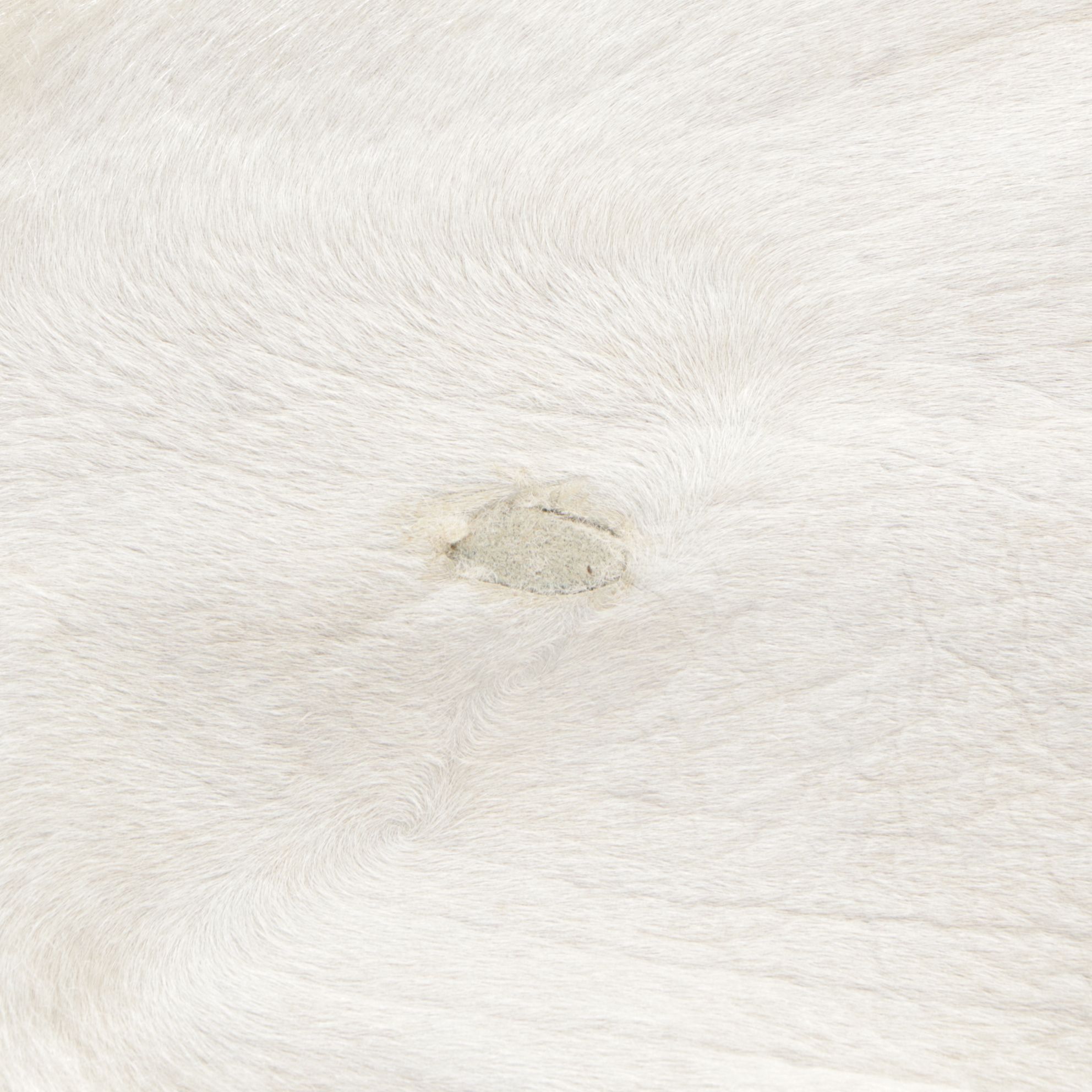 5'8 x 6'4 Natural Cow Hide Area Rug and Throw Pillows