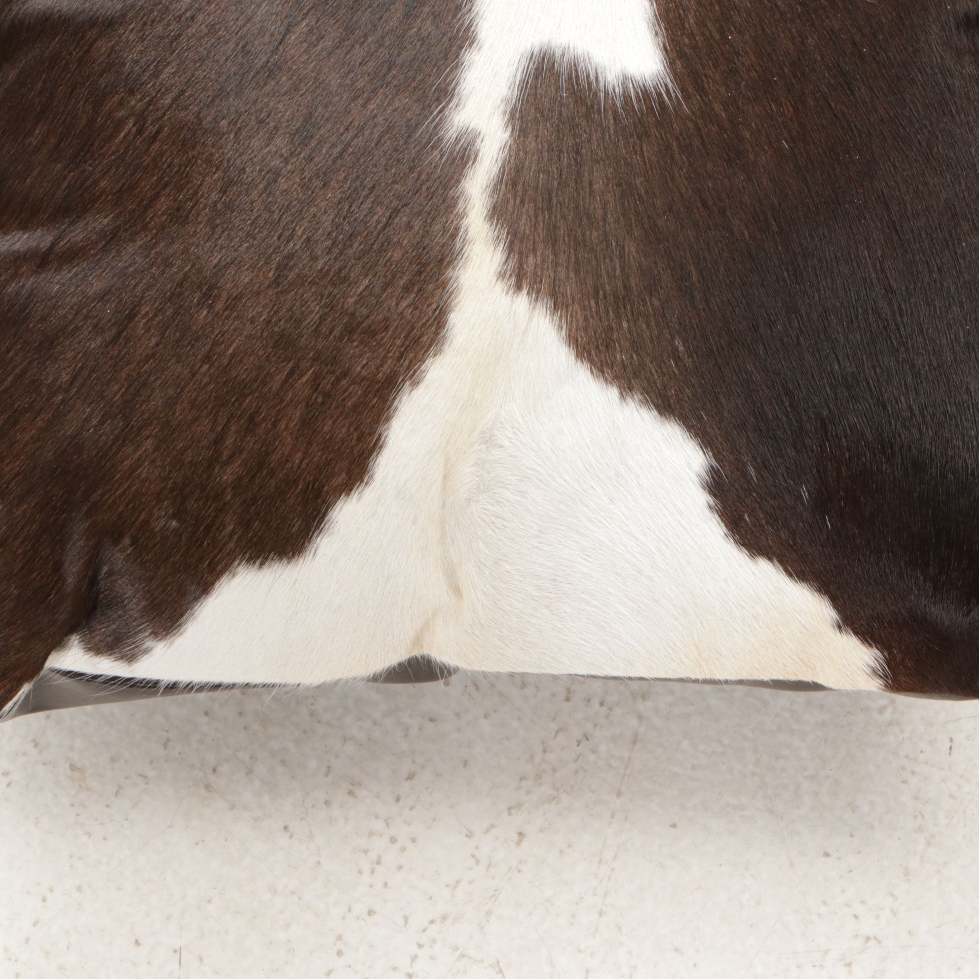 5'8 x 6'4 Natural Cow Hide Area Rug and Throw Pillows