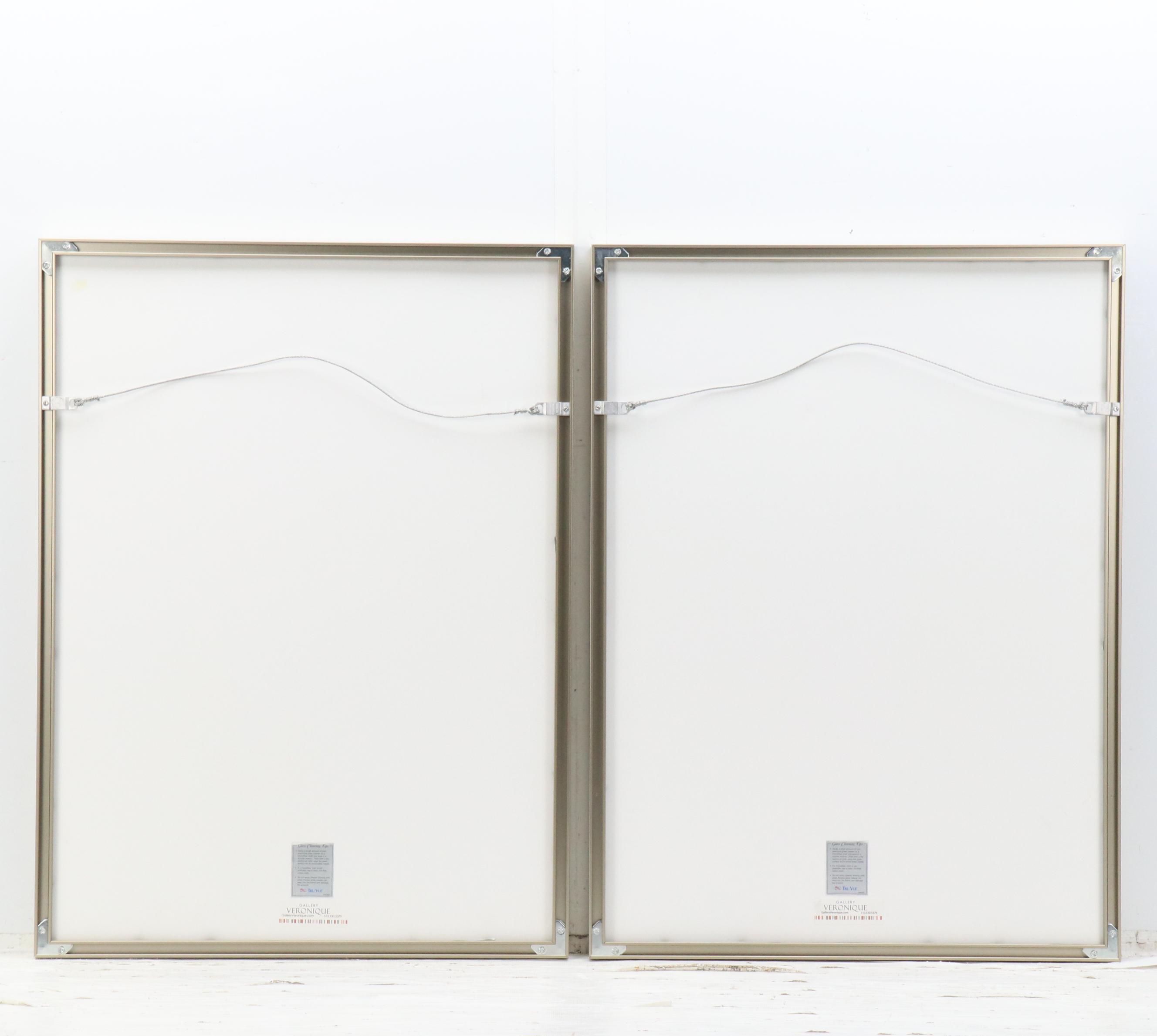 Grand Tour Gilded Wax Intaglio Medallion Collection, 19th Century