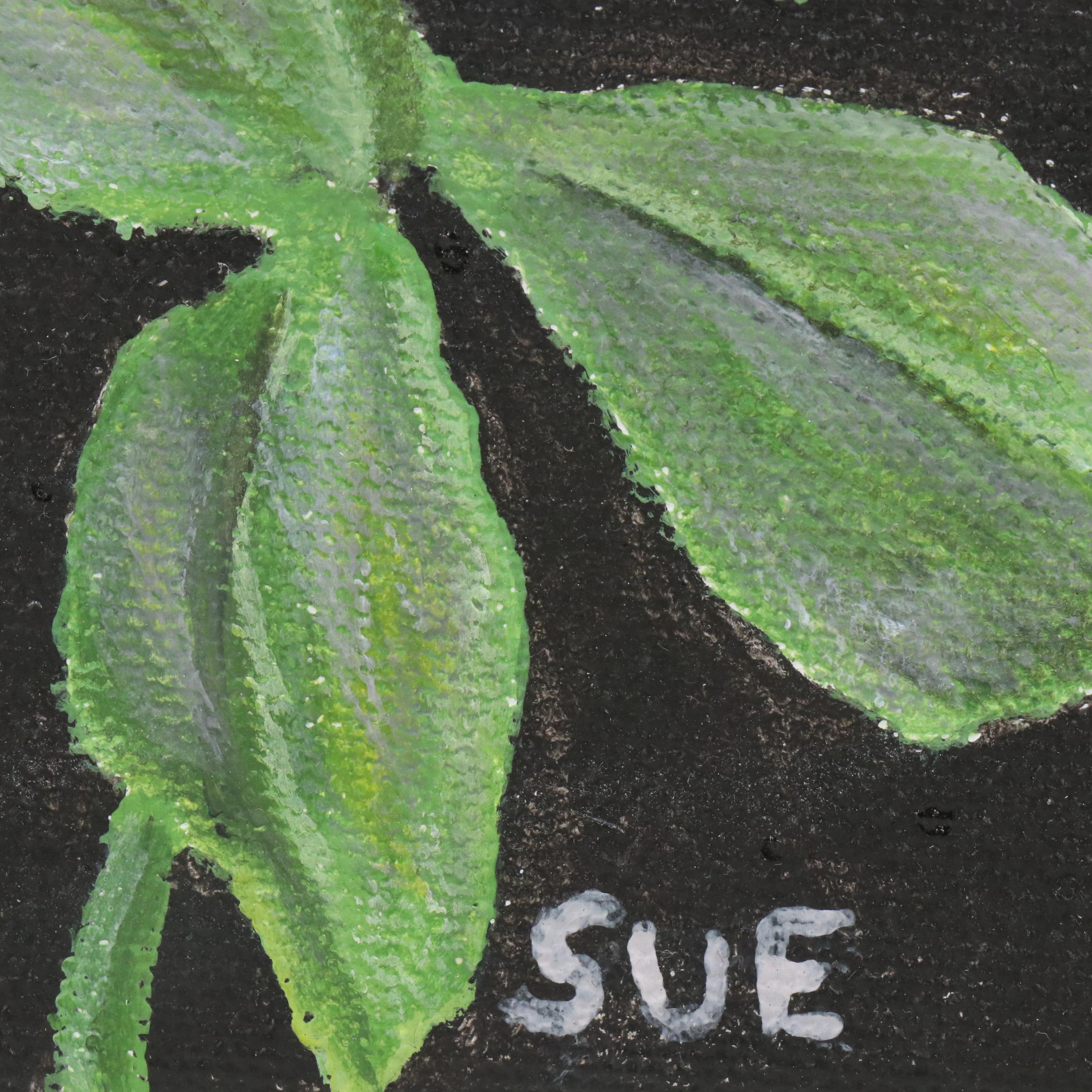 Sue Ervin Acrylic Painting of Pink Rose with Dewdrops, 21st Century