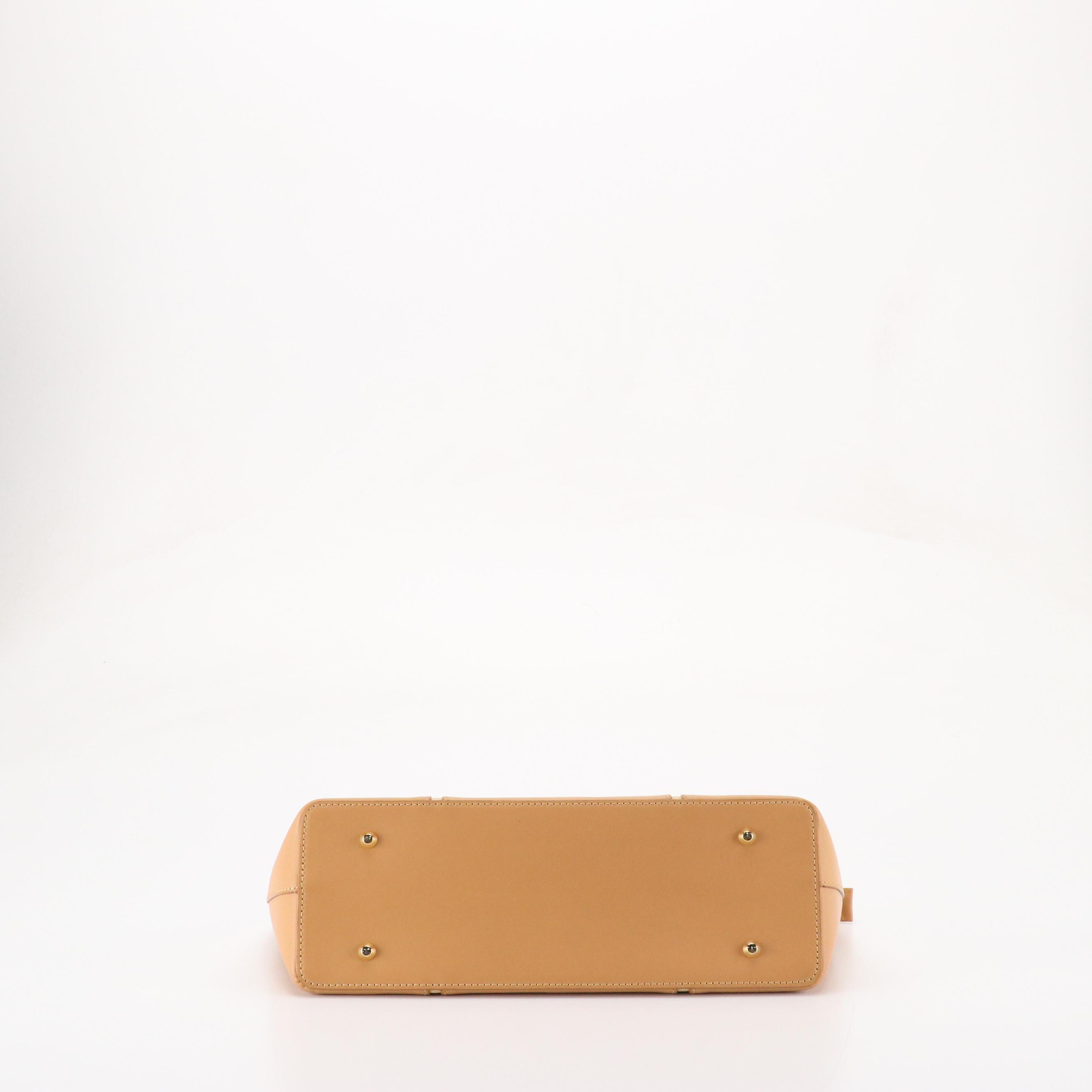 Burberry Horizontal Handbag in Tan Leather