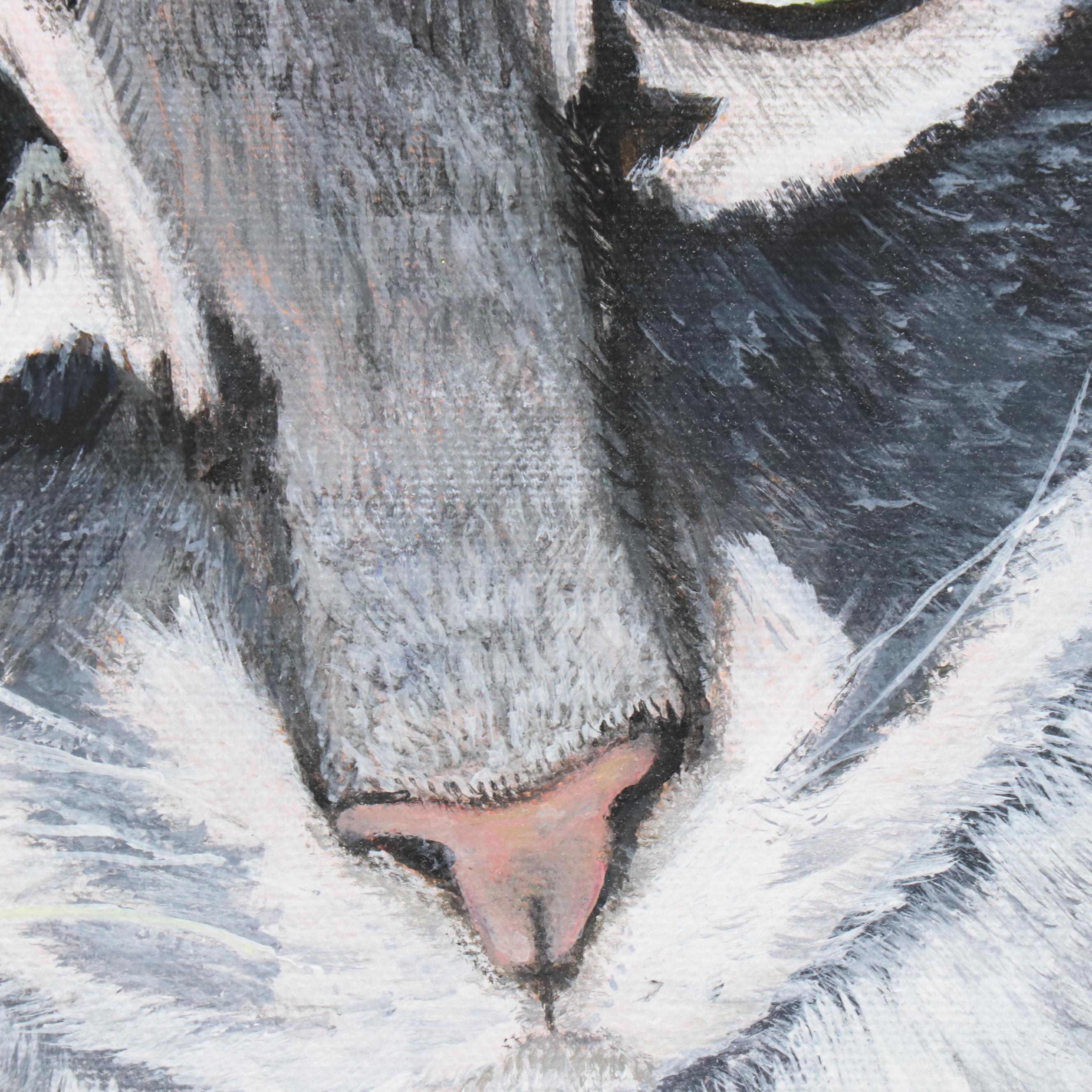 Sue Ervin Acrylic Portrait Painting of Grey Cat, 21st Century