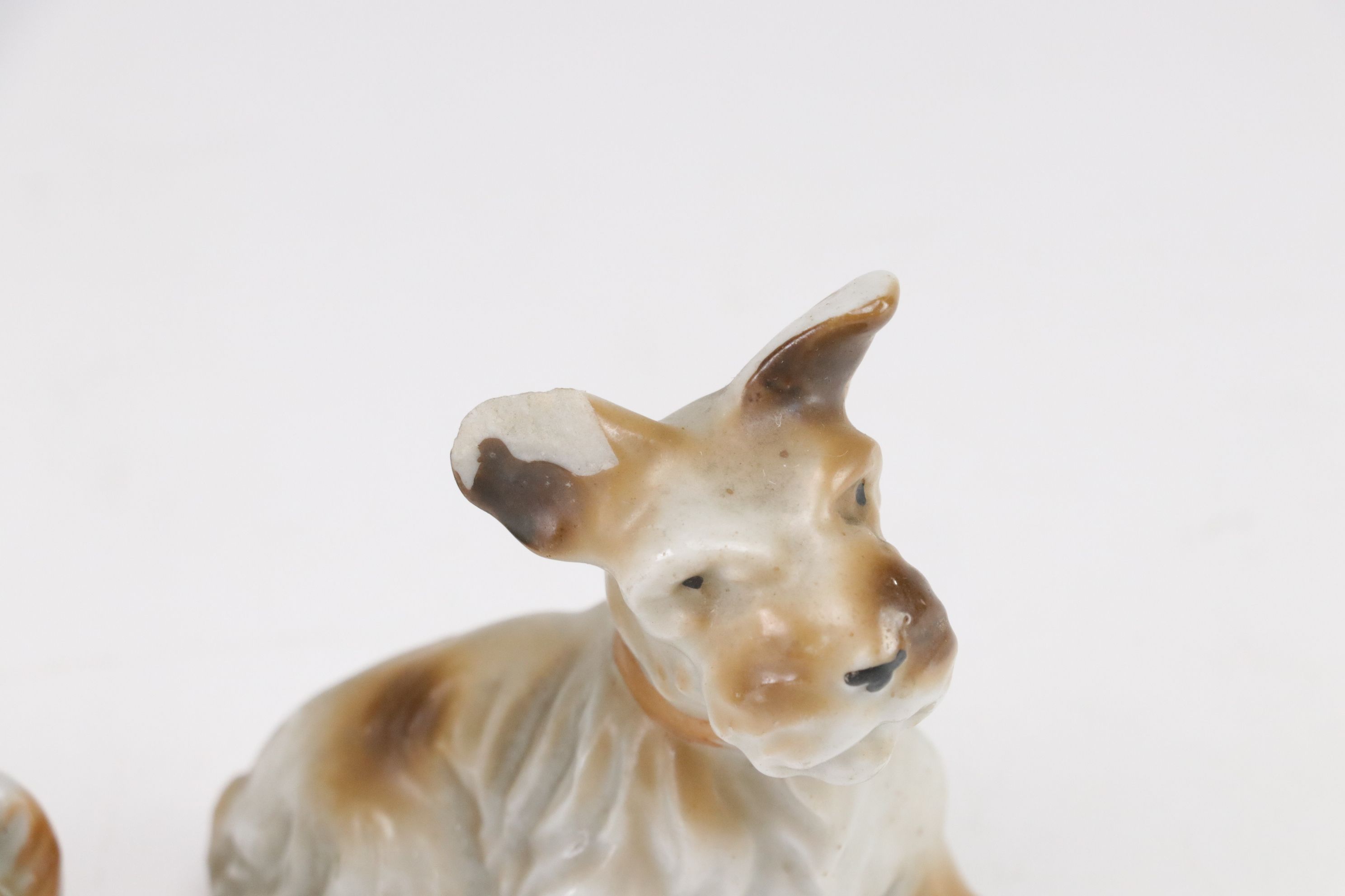 Ceramic & Porcelain Assorted Dog Figurines