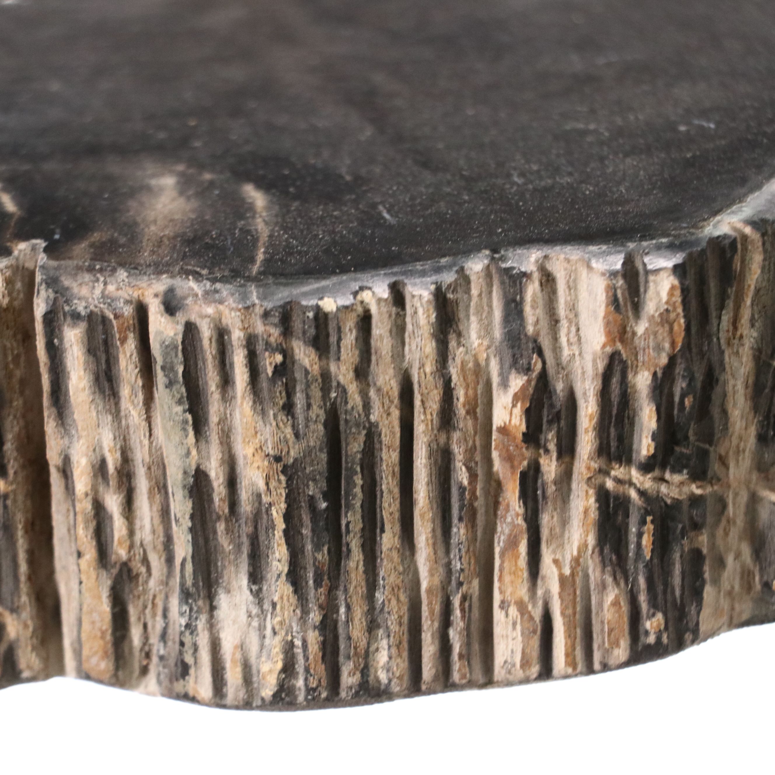 Petrified Wood Slab Table