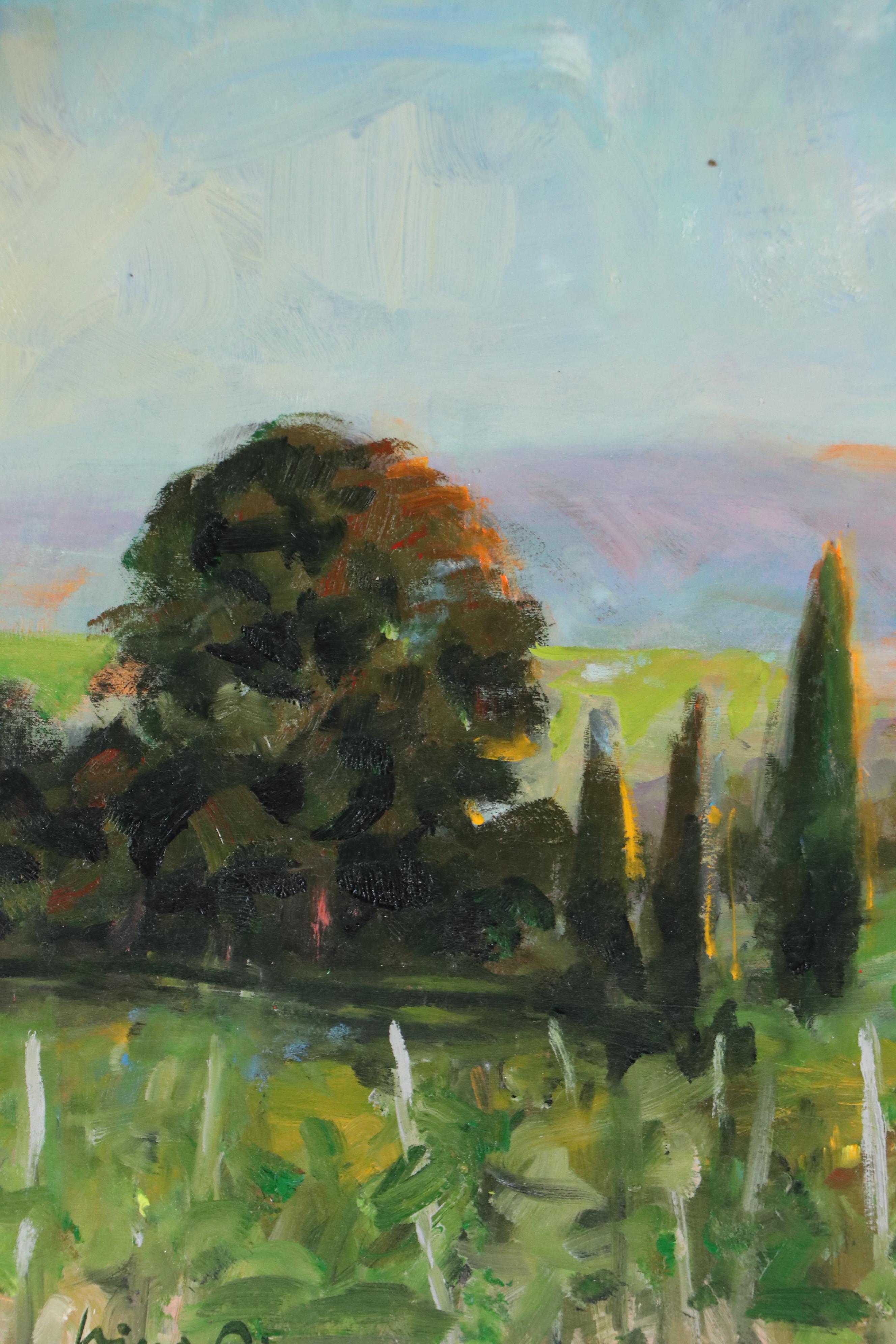 Nino Pippa Oil Painting "Provence - Vineyard in the Rhone Valley," 2021