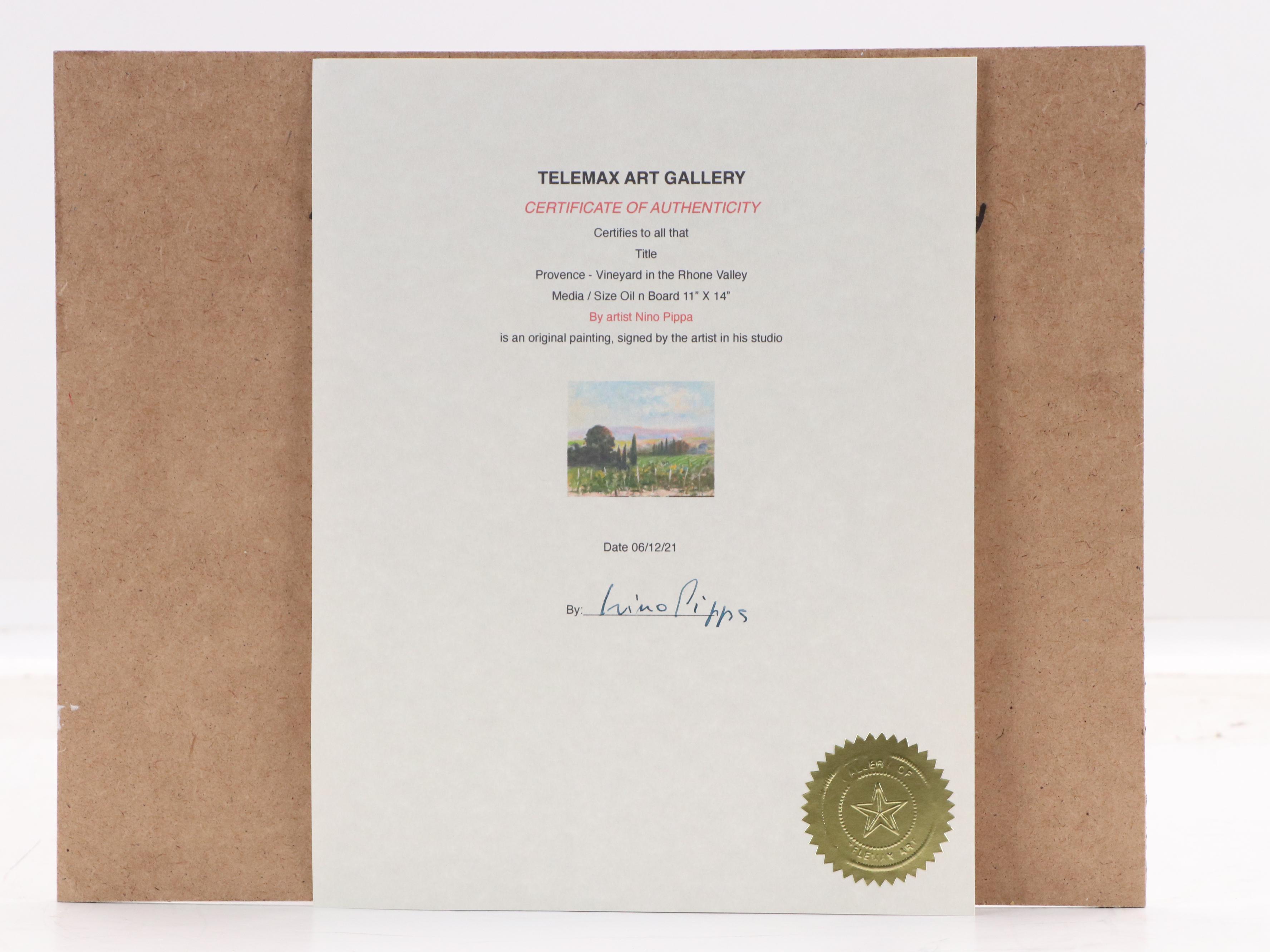 Nino Pippa Oil Painting "Provence - Vineyard in the Rhone Valley," 2021