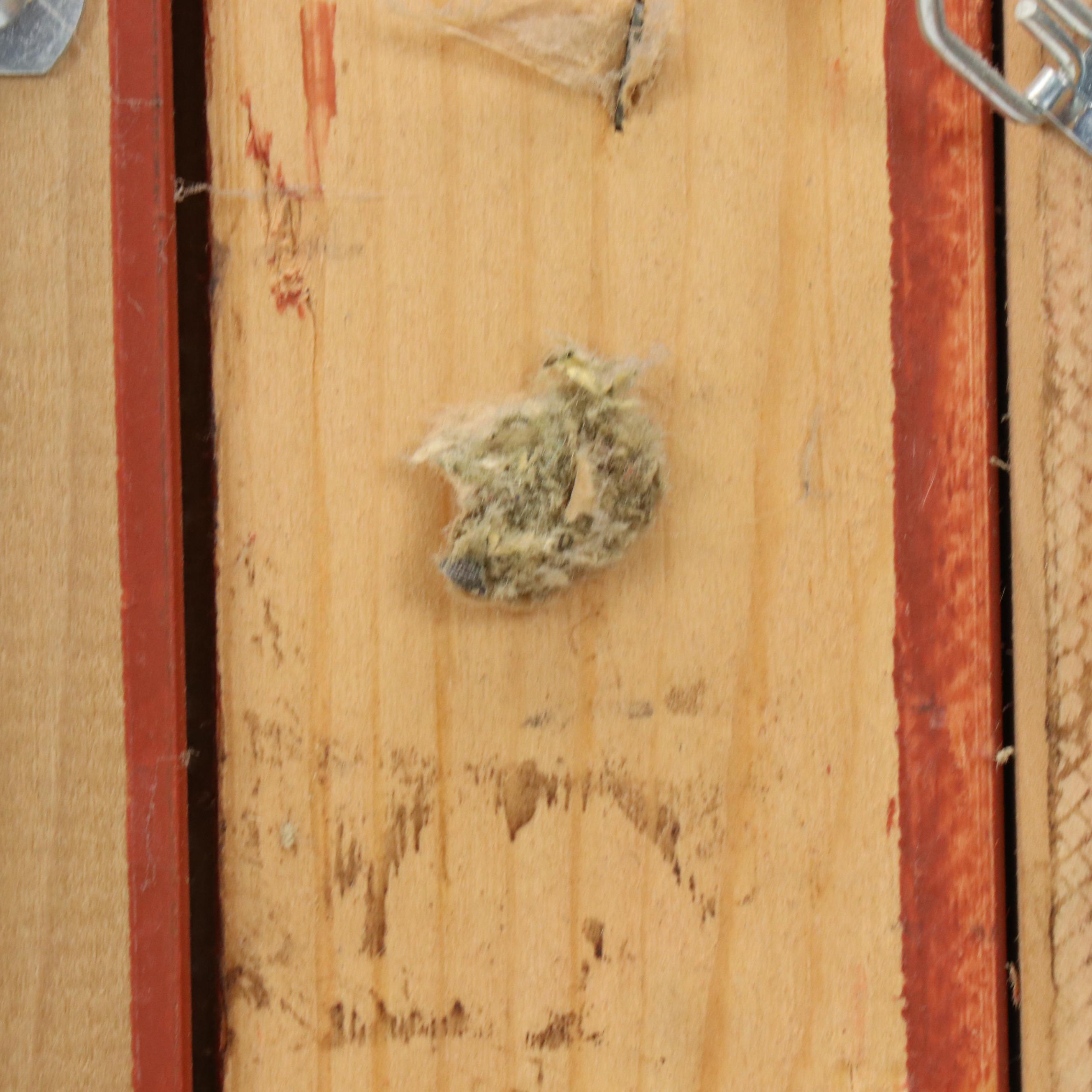 Mary Jane Weber Floral Still Life Oil Painting "Peonies + Roses," 2003