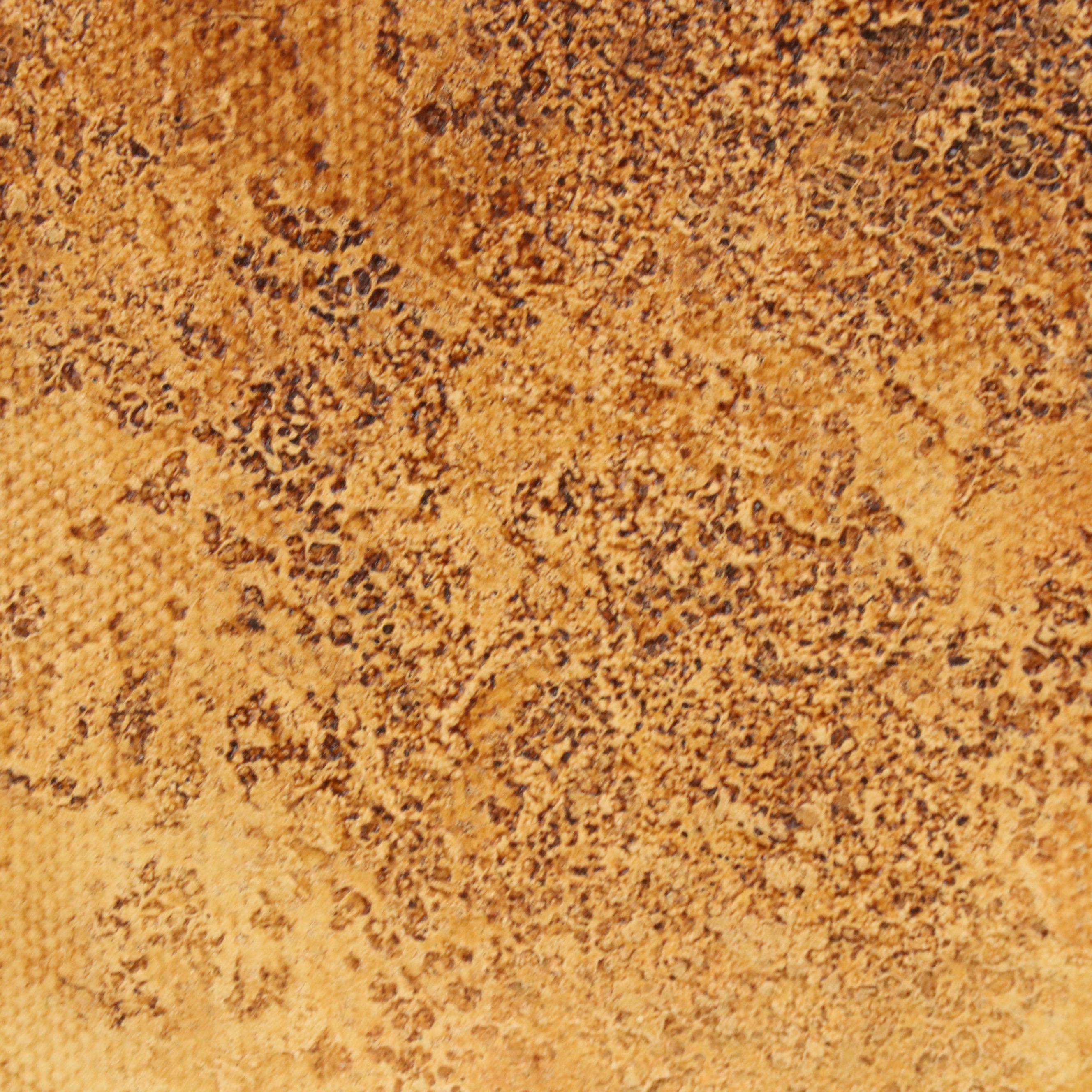 Anthony Poole Native American Portrait Acrylic Painting, 2003