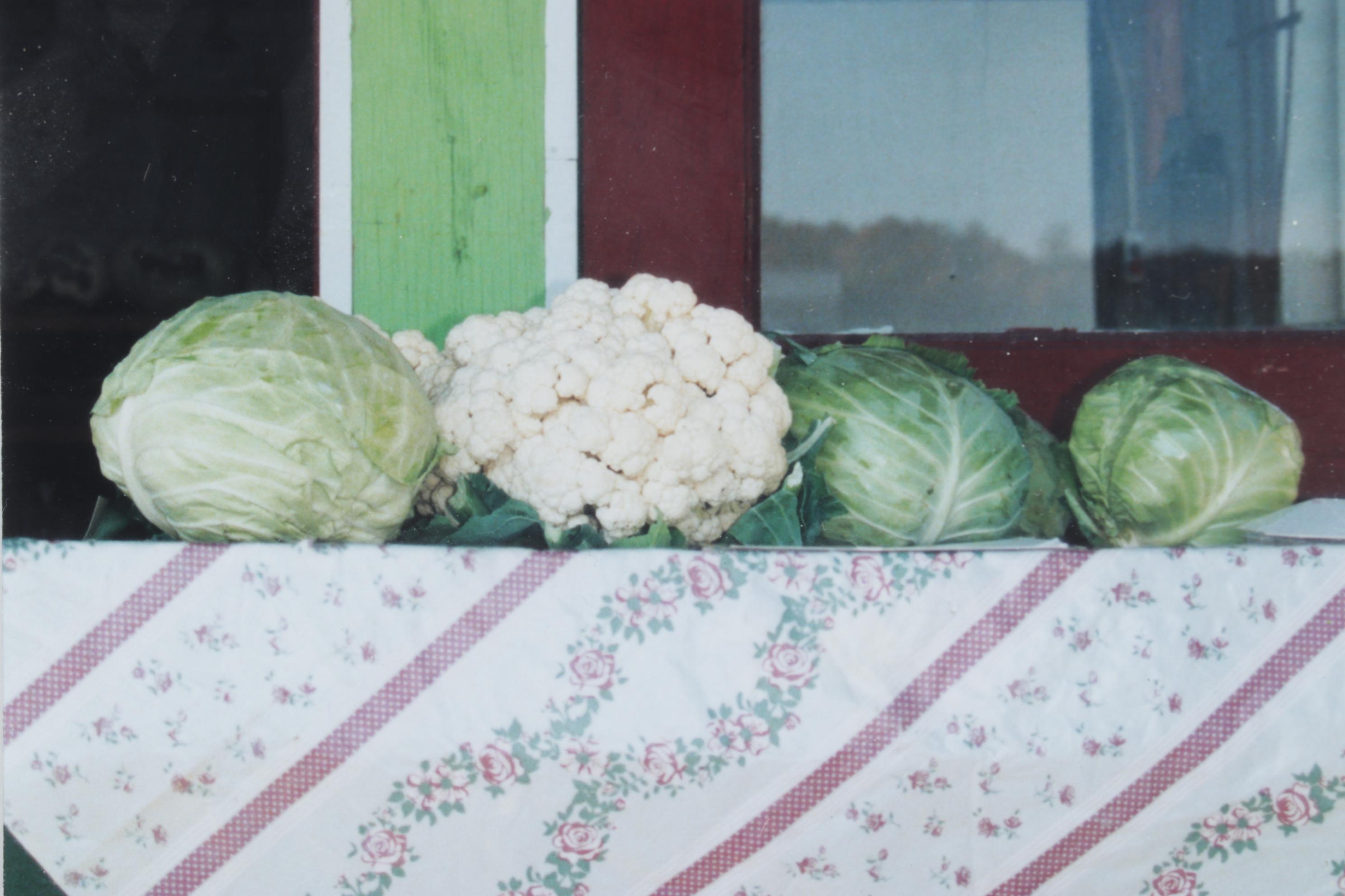 Barbara Bowles Still Life Photograph of Tabled Farm Produce, Early 21st Century