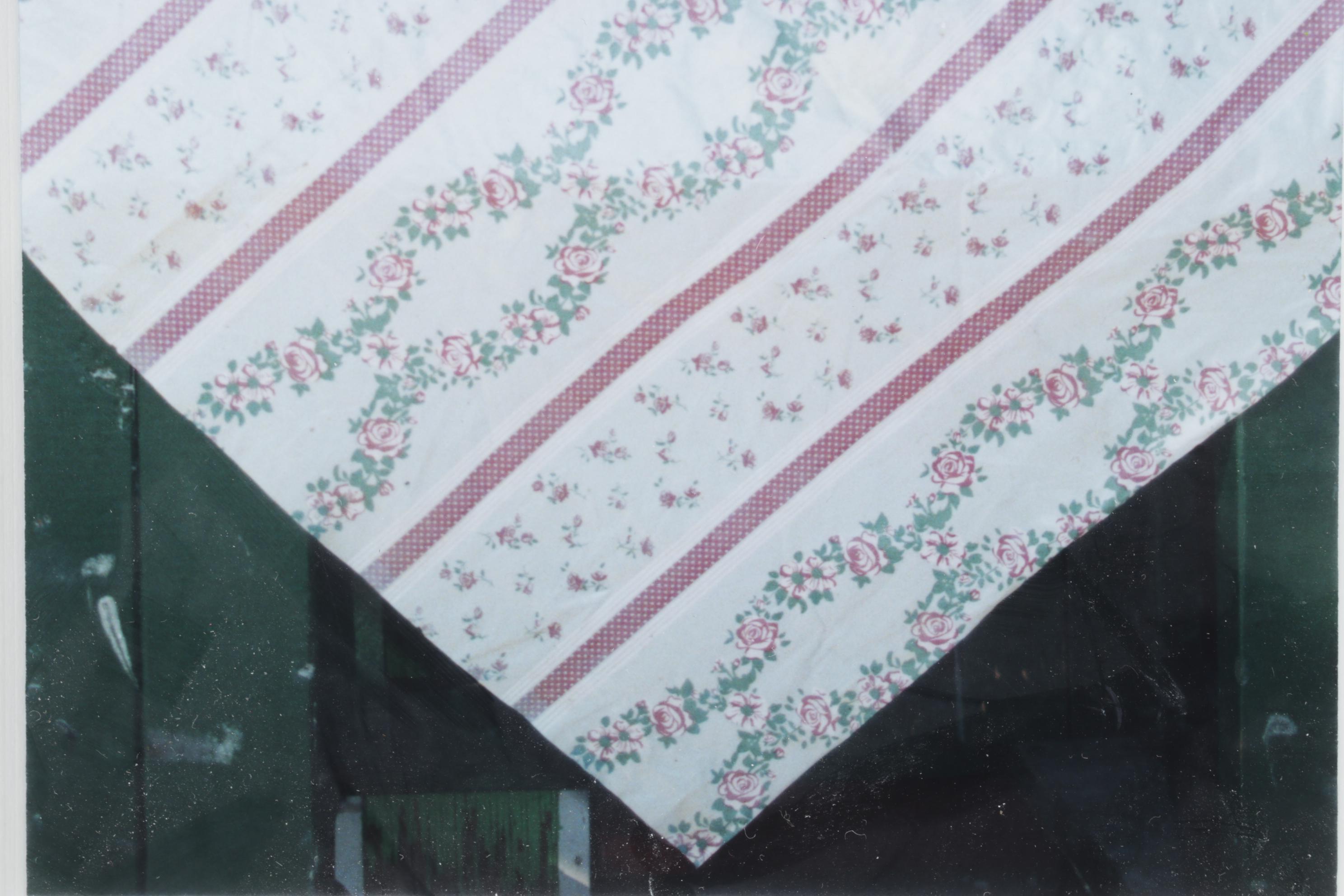 Barbara Bowles Still Life Photograph of Tabled Farm Produce, Early 21st Century