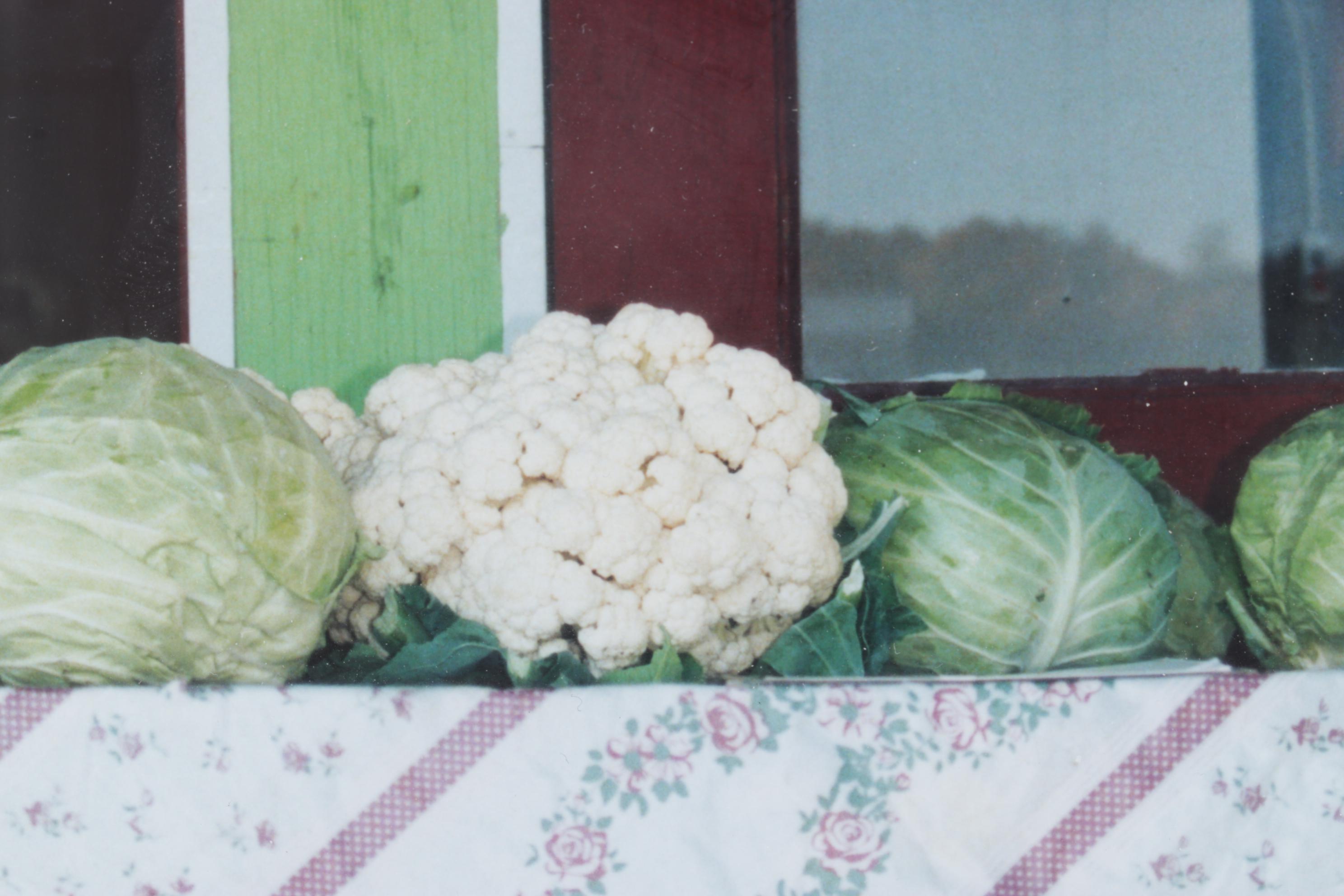 Barbara Bowles Still Life Photograph of Tabled Farm Produce, Early 21st Century