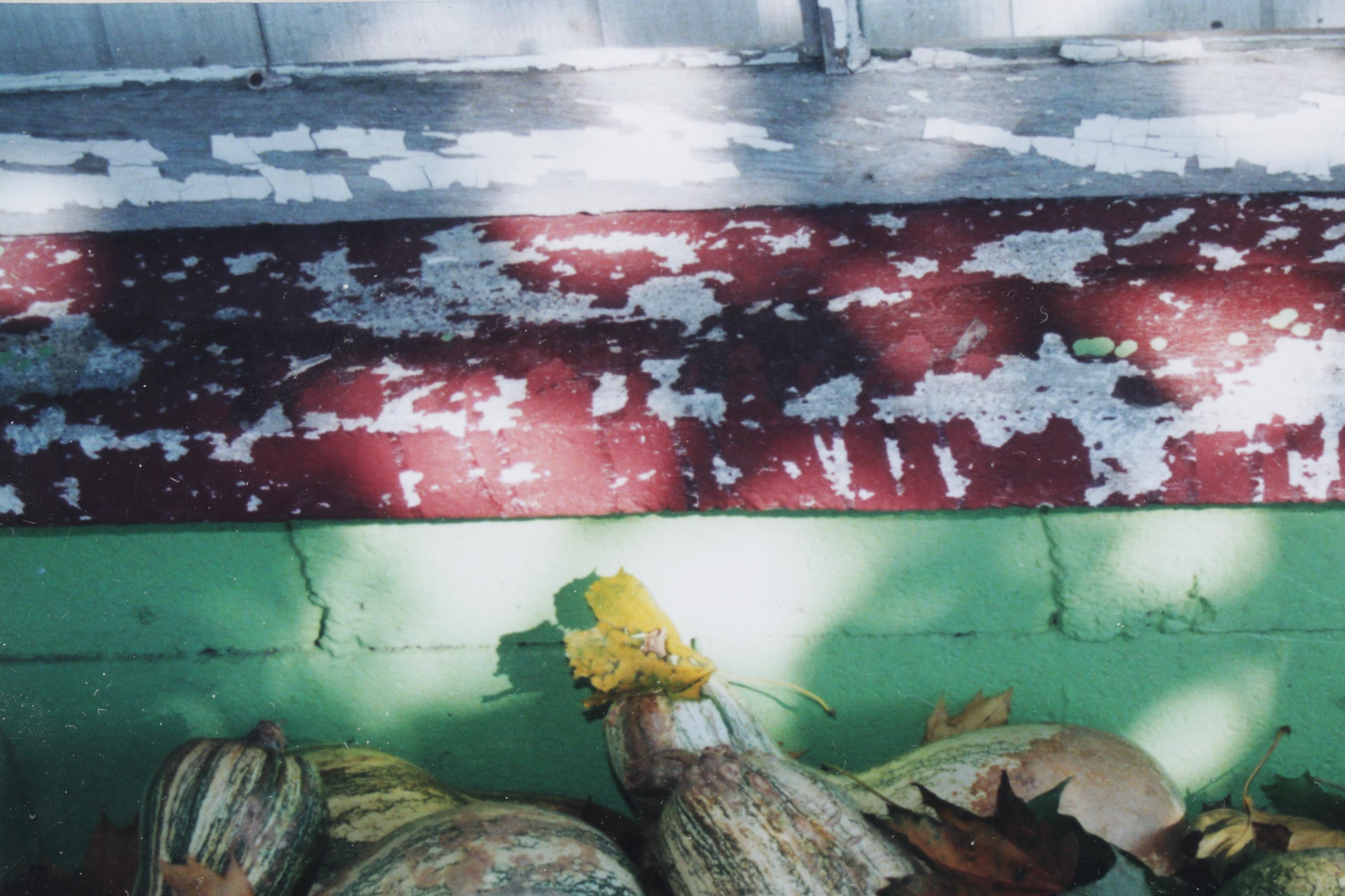 Barbara Bowles "Autumn Tranquility" Still Life Photograph, 2002