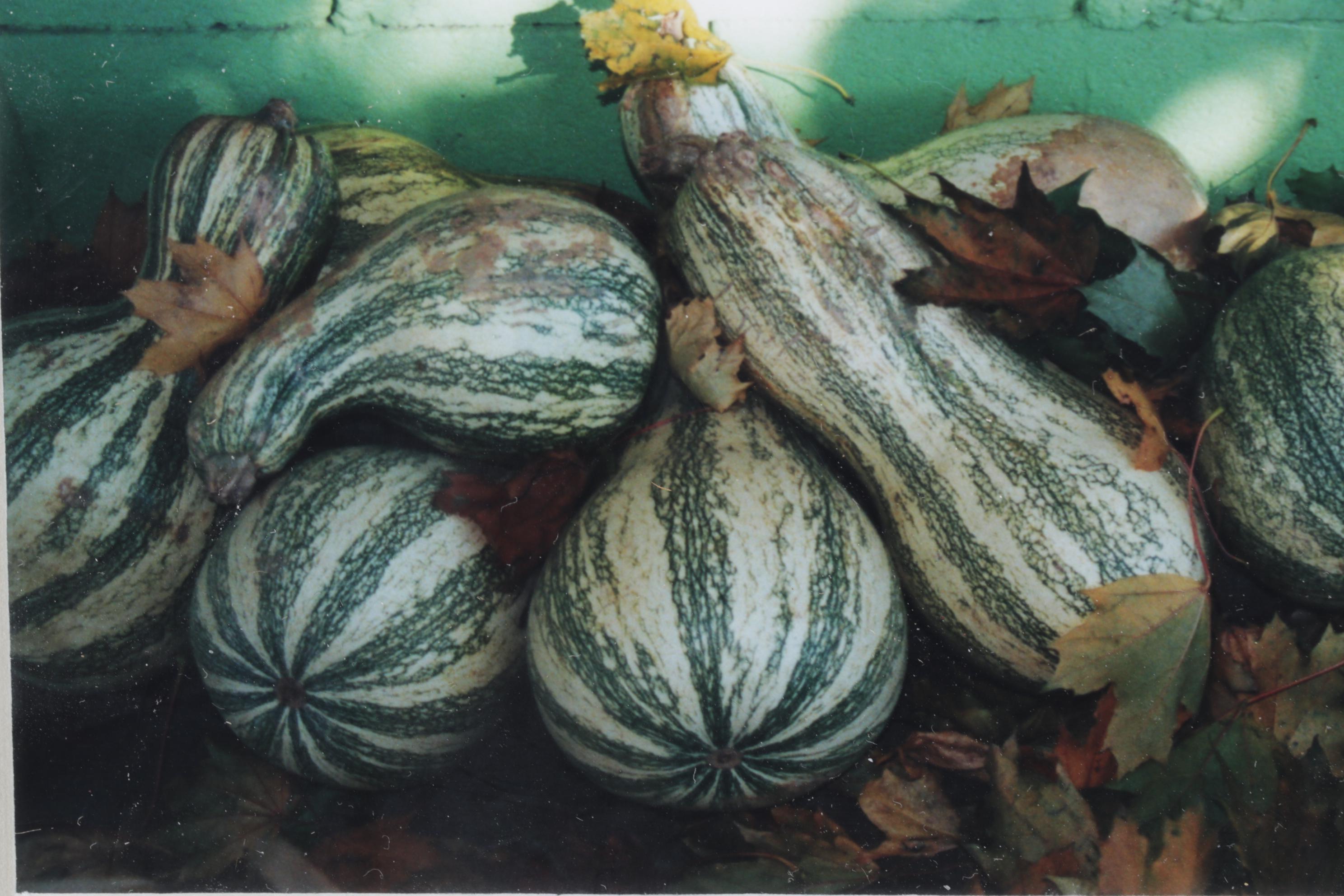 Barbara Bowles "Autumn Tranquility" Still Life Photograph, 2002