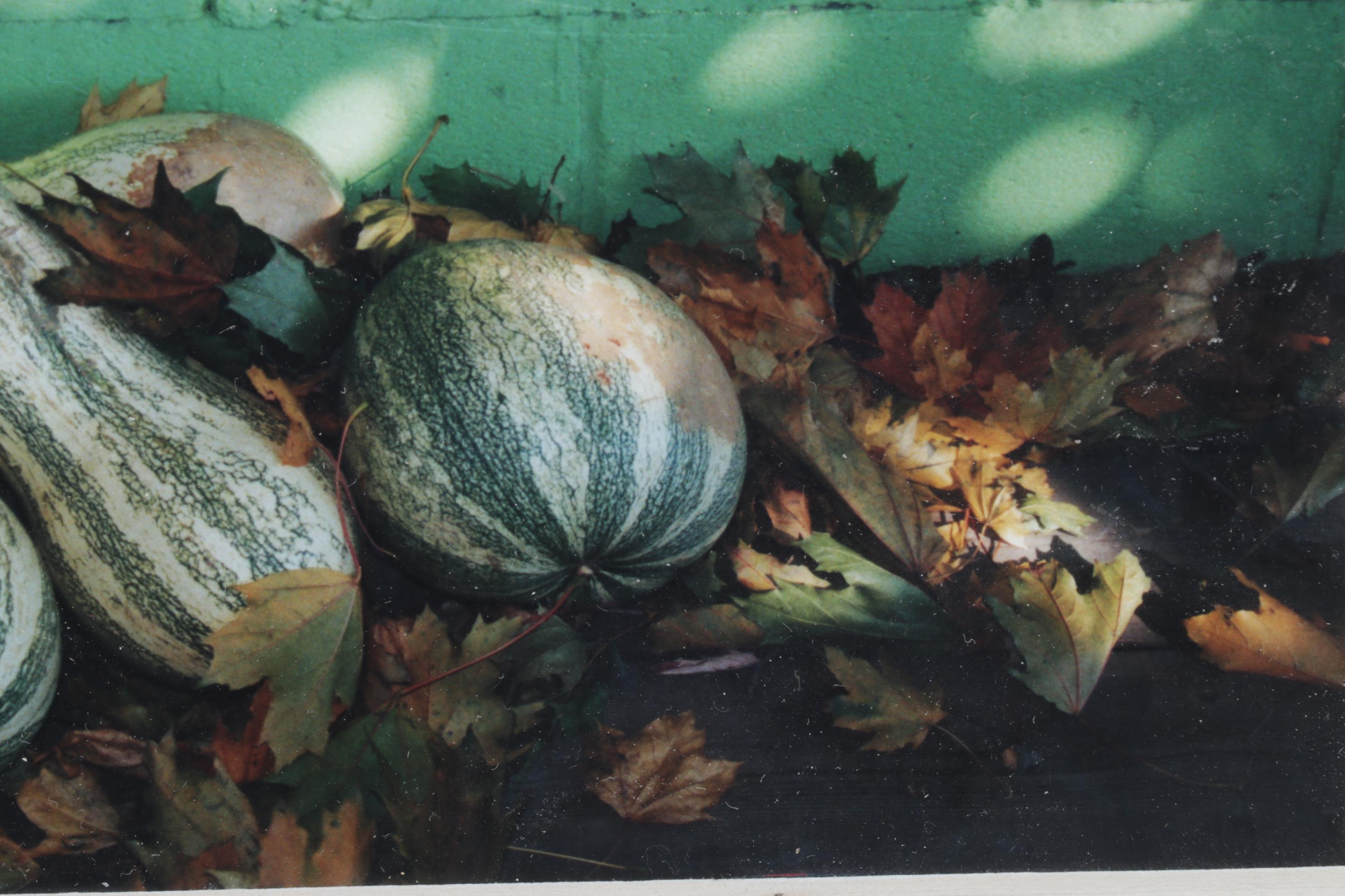 Barbara Bowles "Autumn Tranquility" Still Life Photograph, 2002