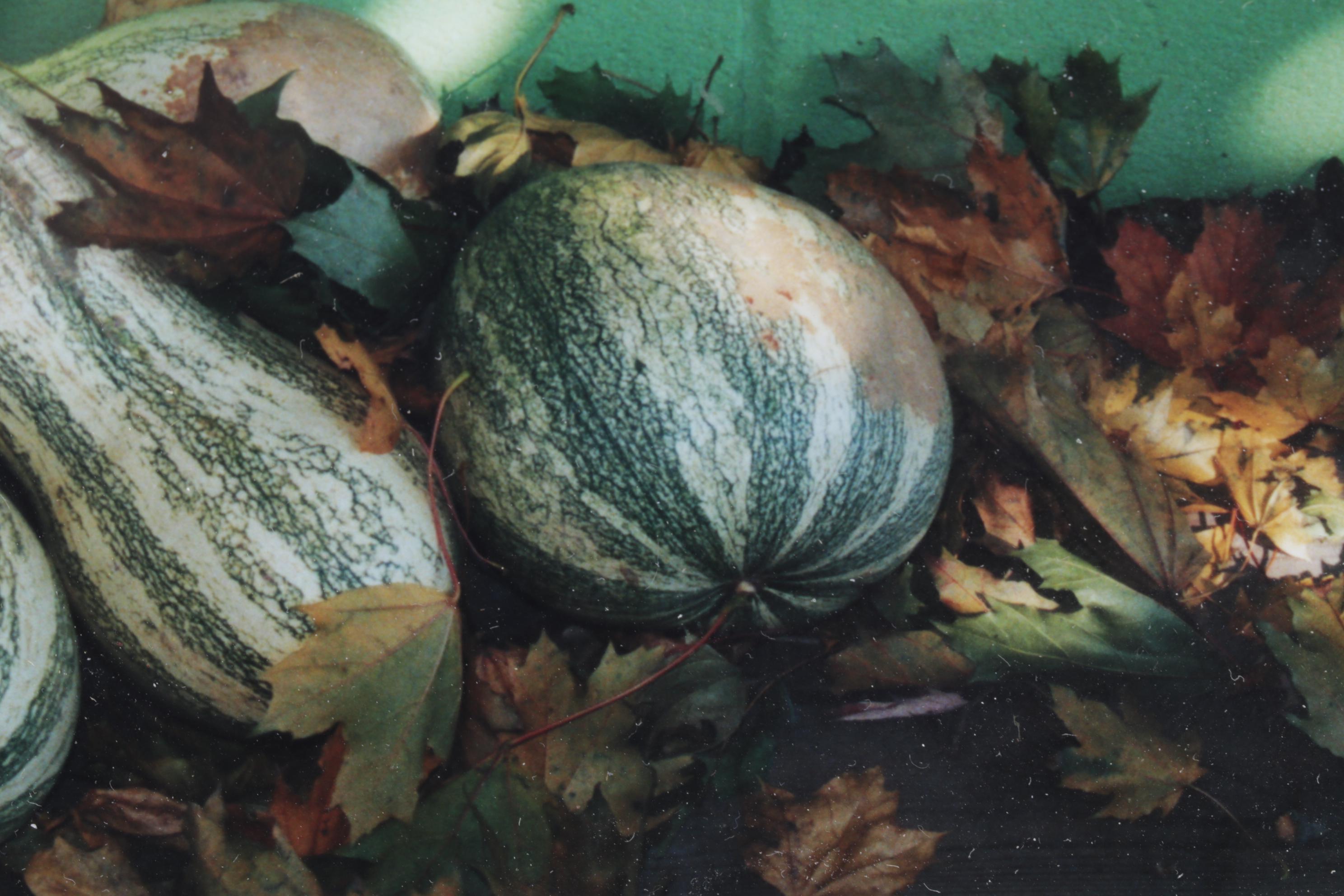 Barbara Bowles "Autumn Tranquility" Still Life Photograph, 2002