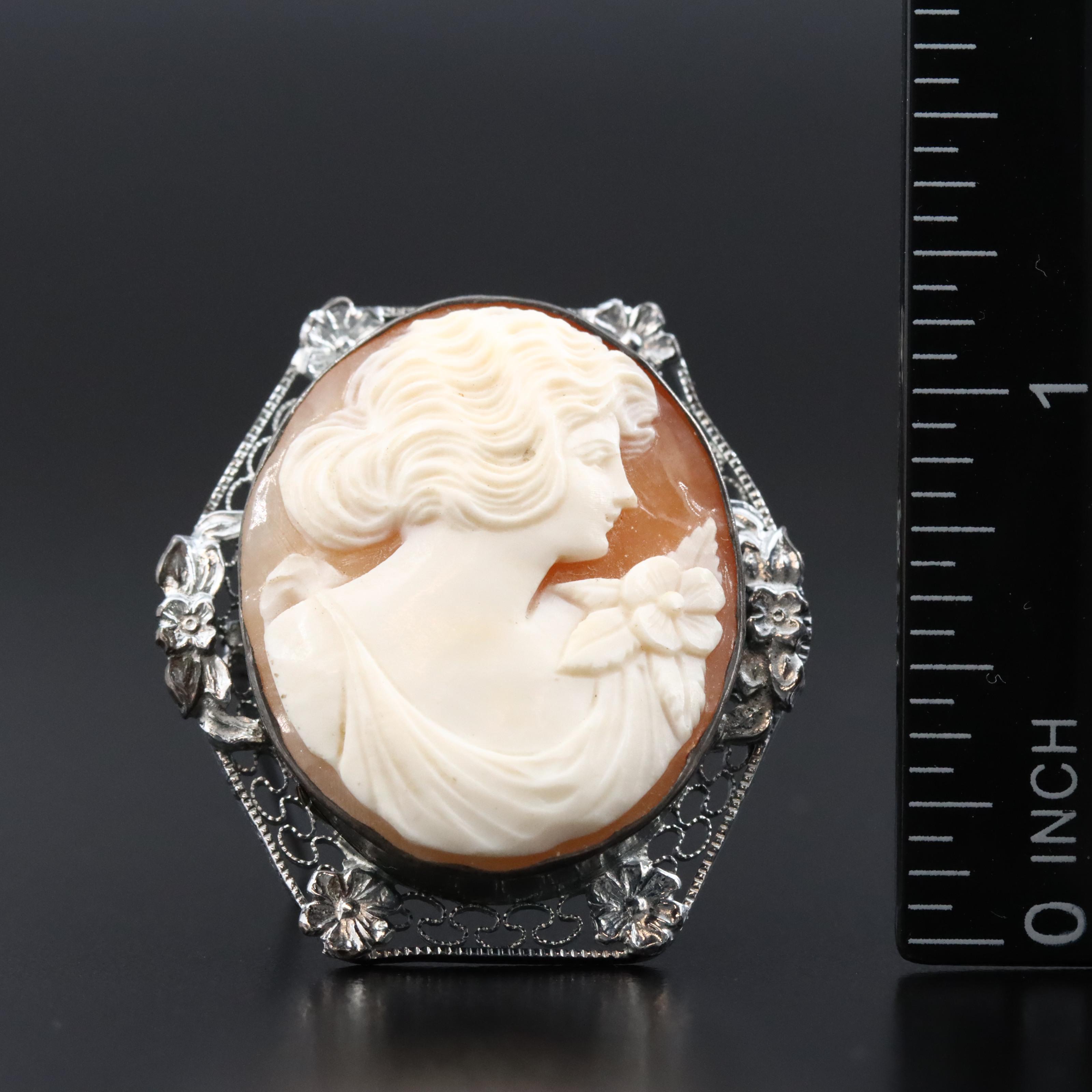Vintage Shell Cameos Featured in Brooch Collection