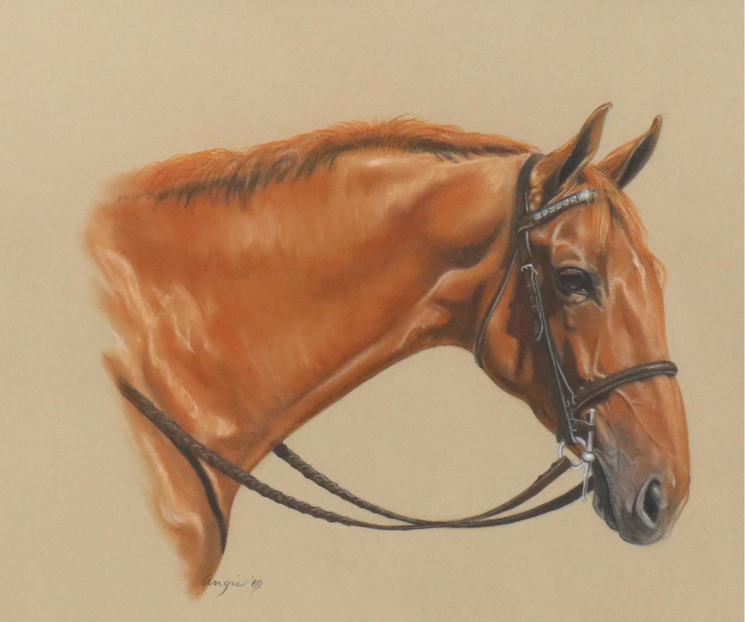 Angie Equine Portrait Chalk Pastel Drawing, 1989