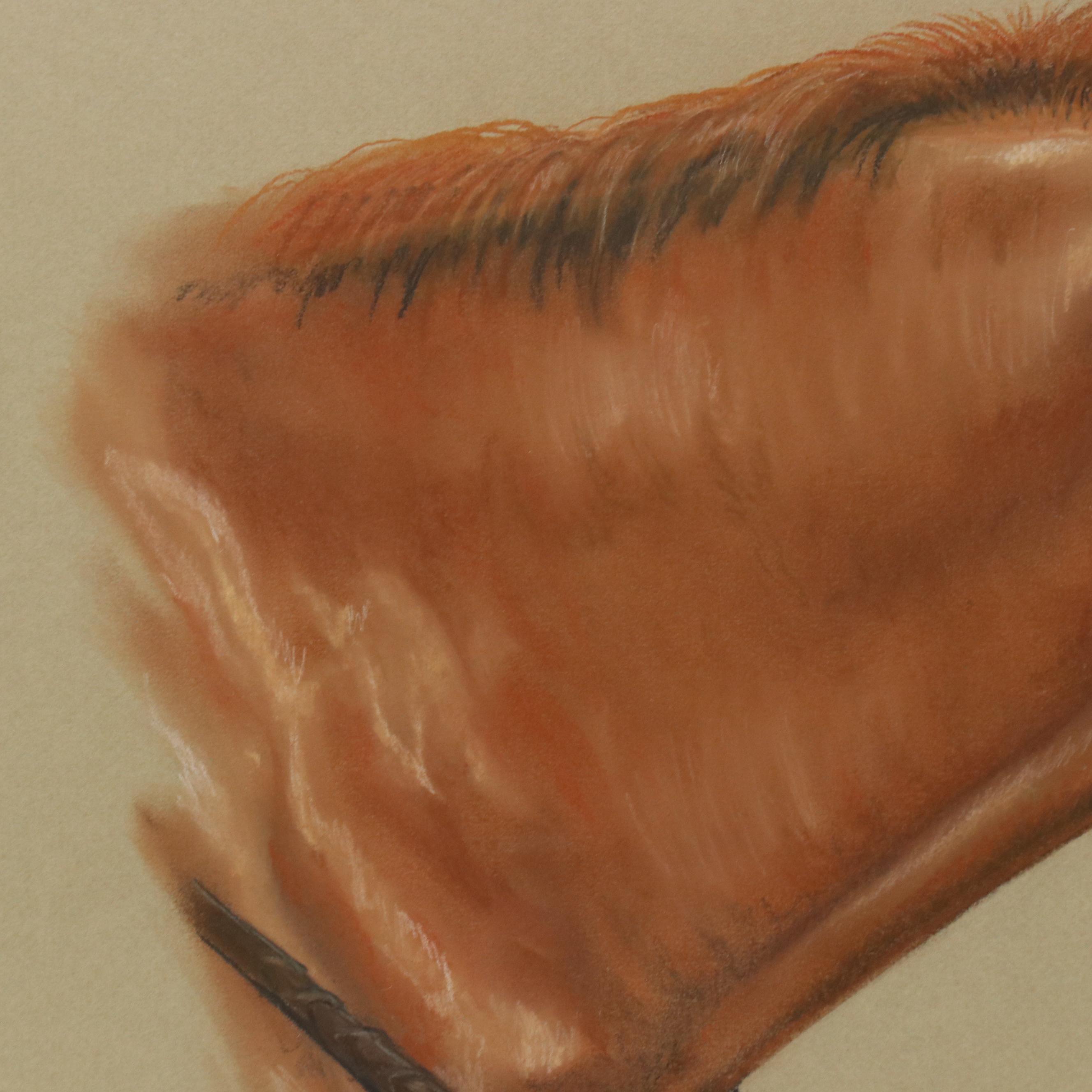 Angie Equine Portrait Chalk Pastel Drawing, 1989