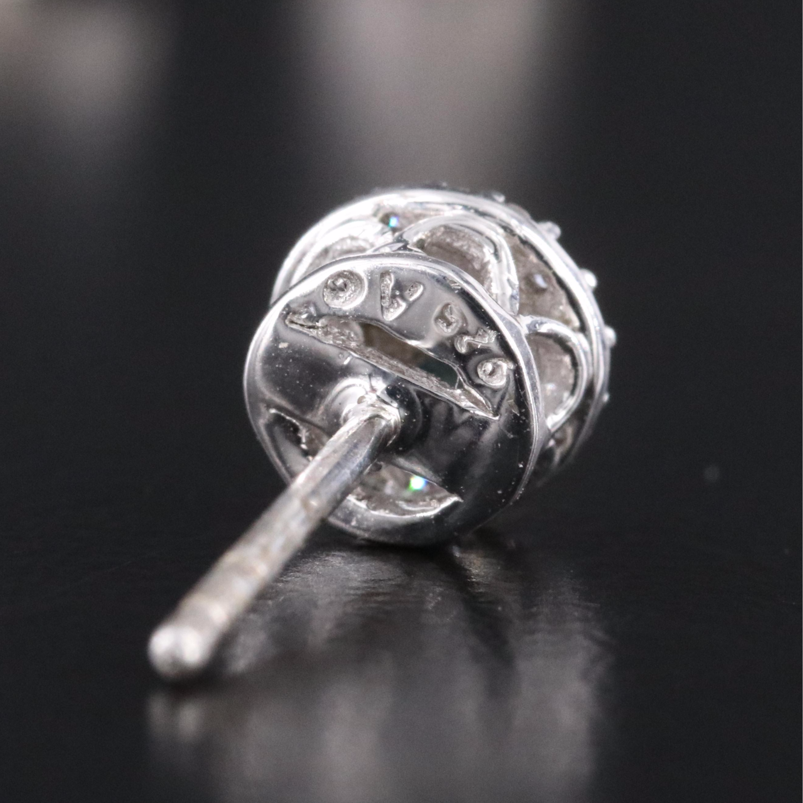 Sterling and Diamond Earrings Including Fancy Black Diamonds