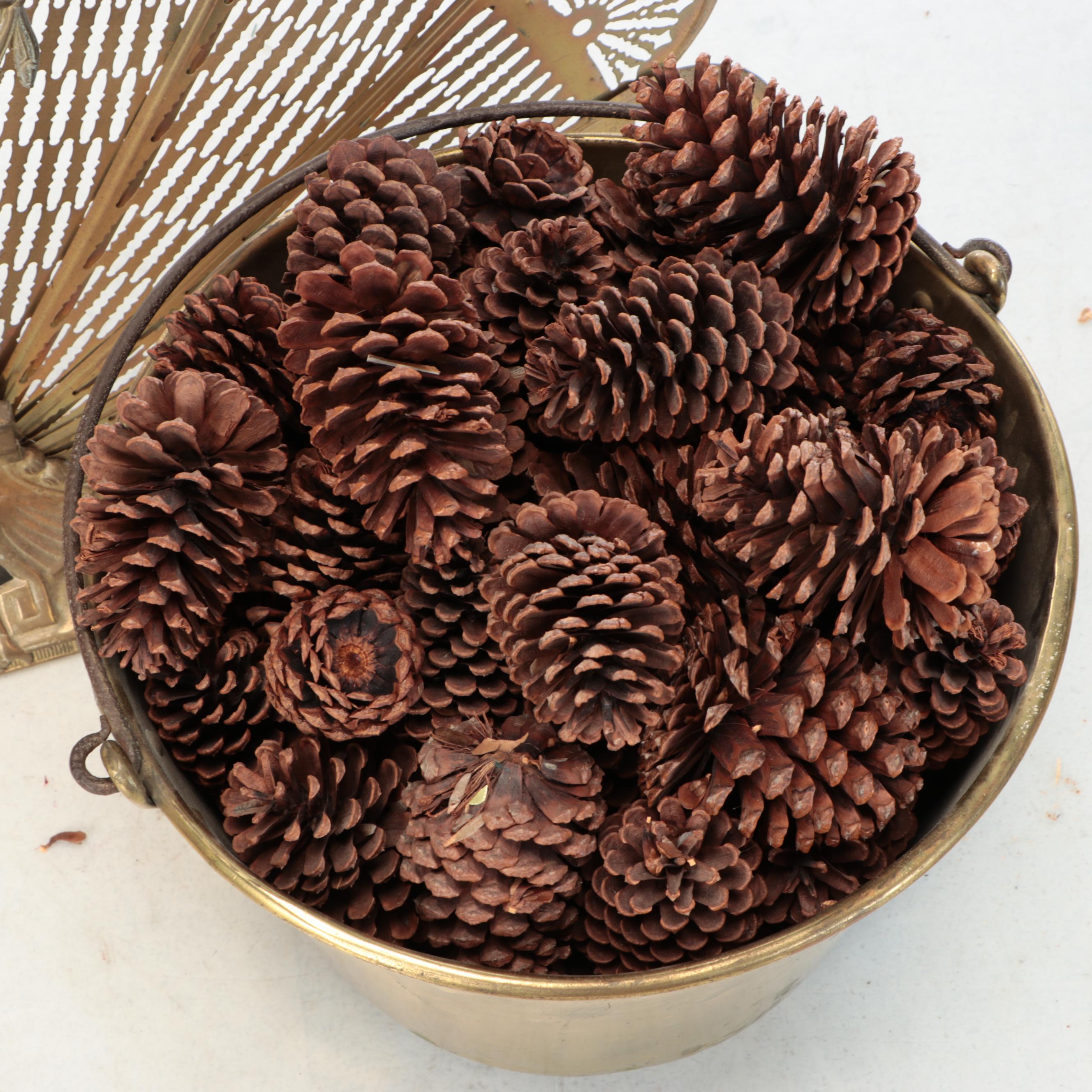 Egyptian Revival Cast Brass Fan Fireplace Screen with Brass Bucket and Pinecones