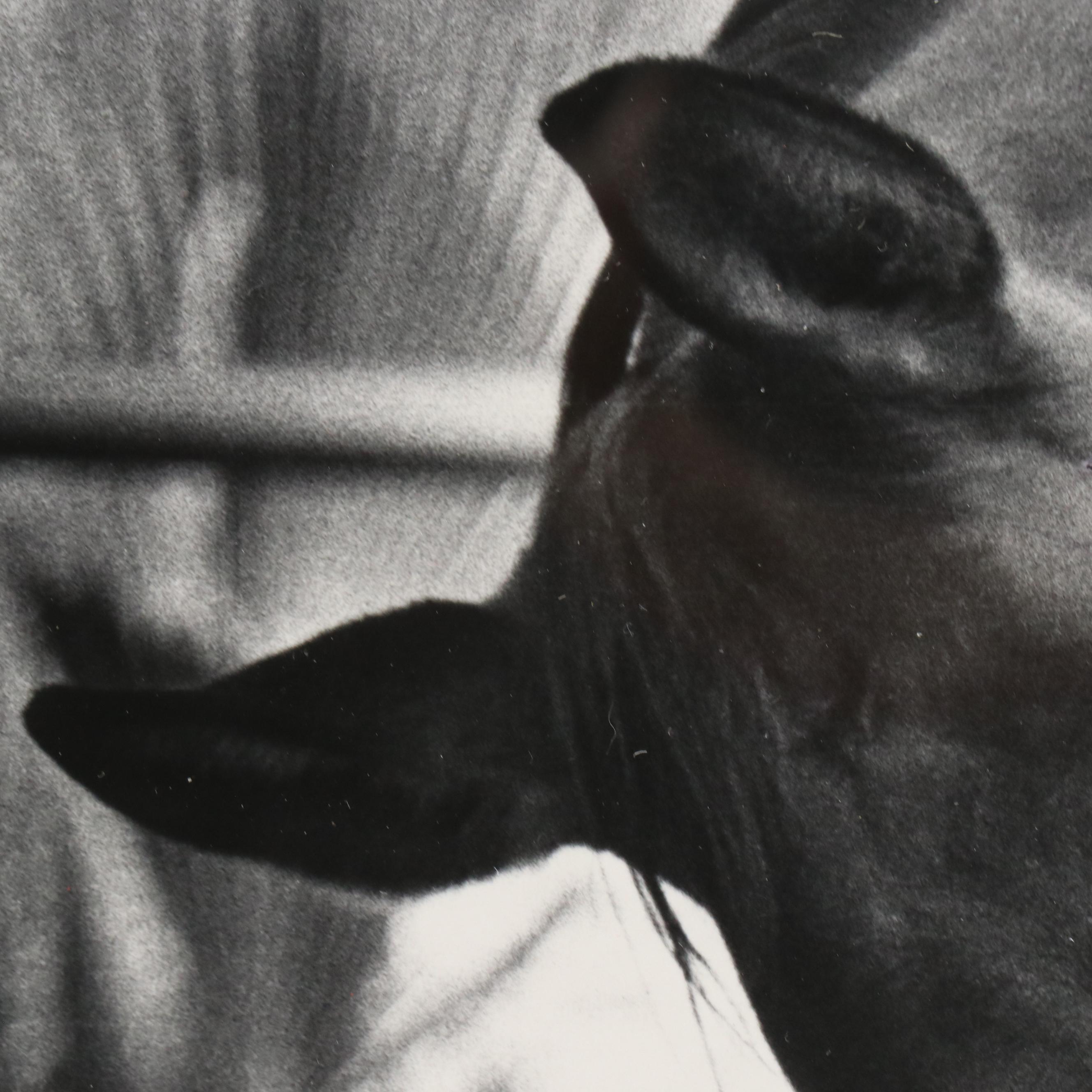 Katy Barren Silver Gelatin Print "Snug in a Hug"