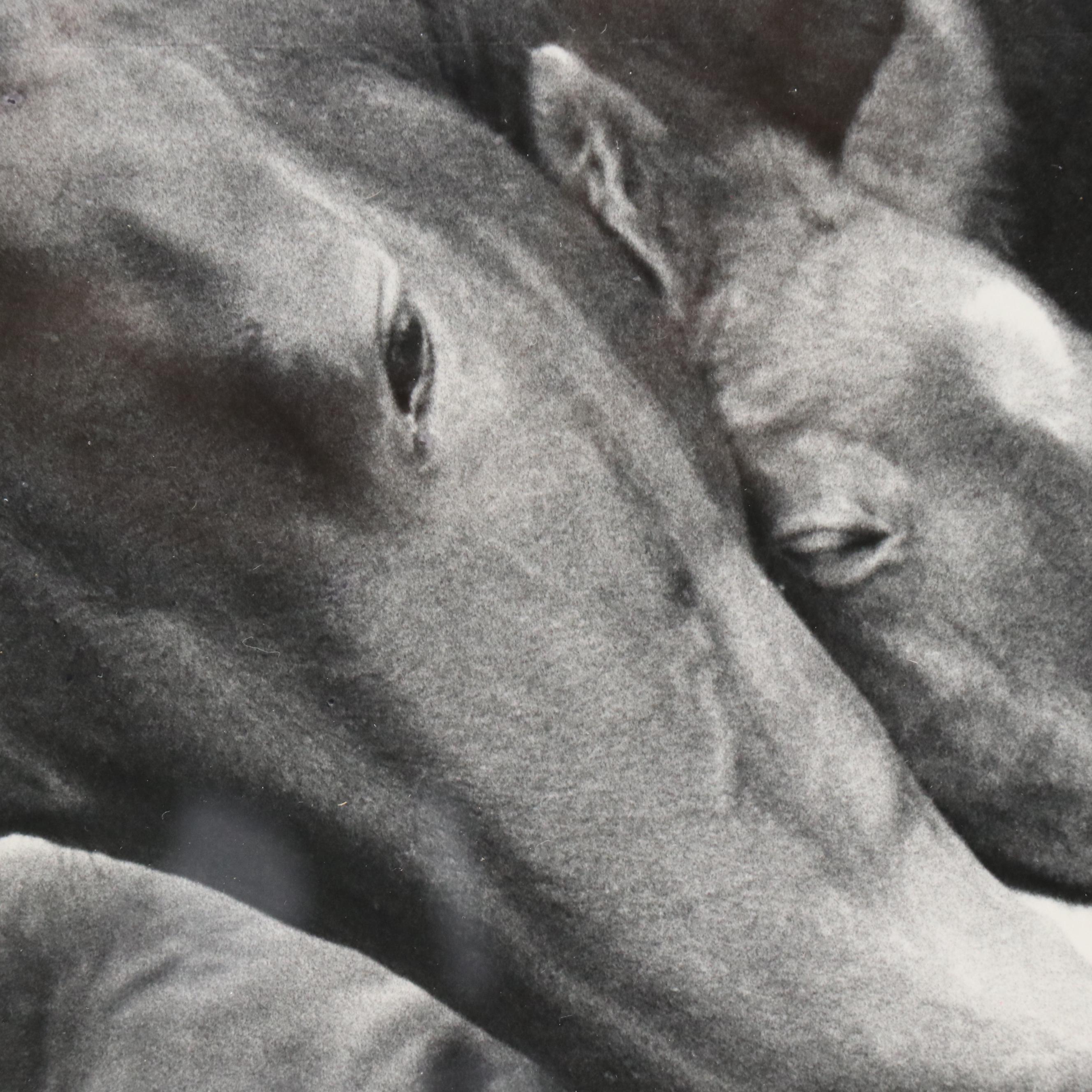 Katy Barren Silver Gelatin Print "Snug in a Hug"