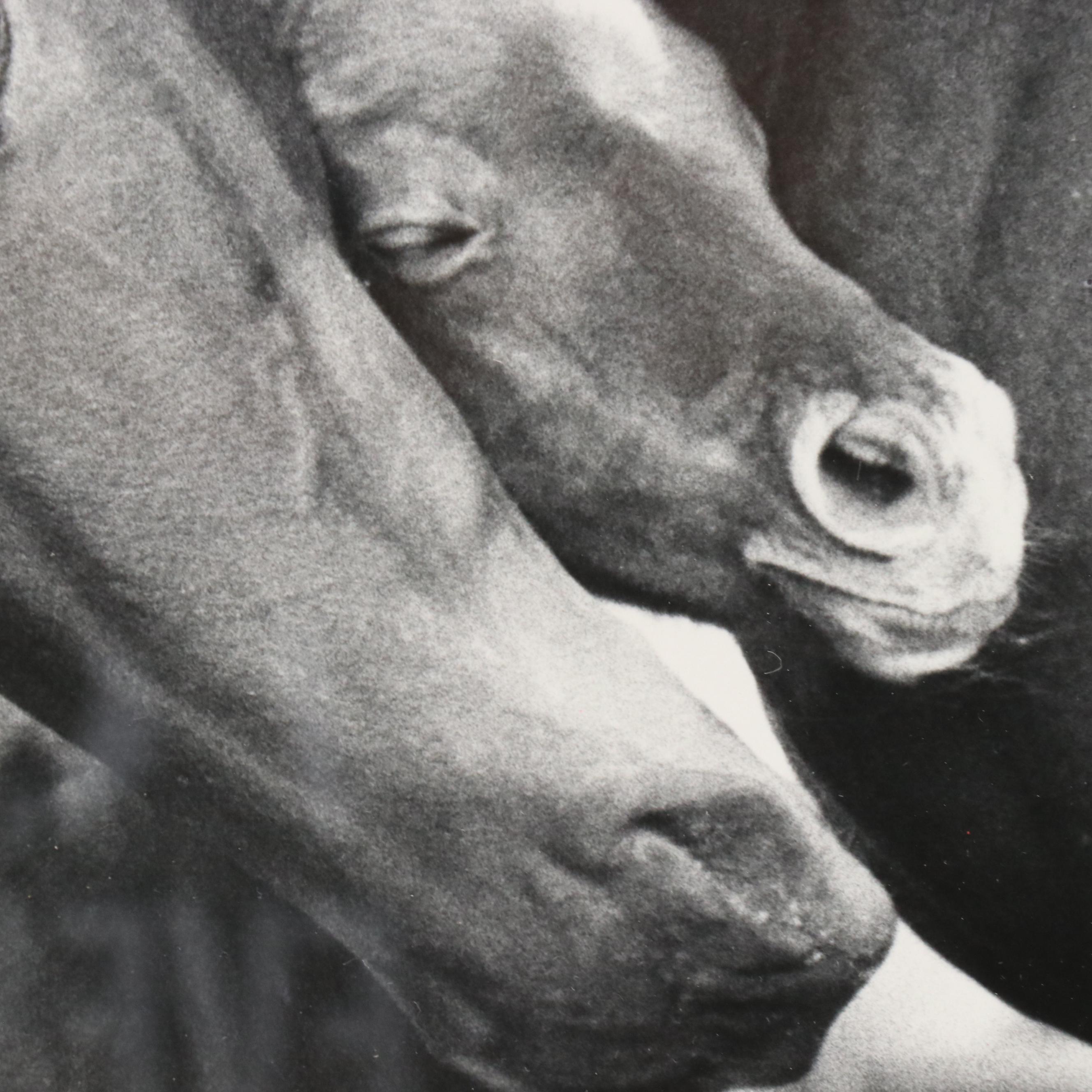 Katy Barren Silver Gelatin Print "Snug in a Hug"