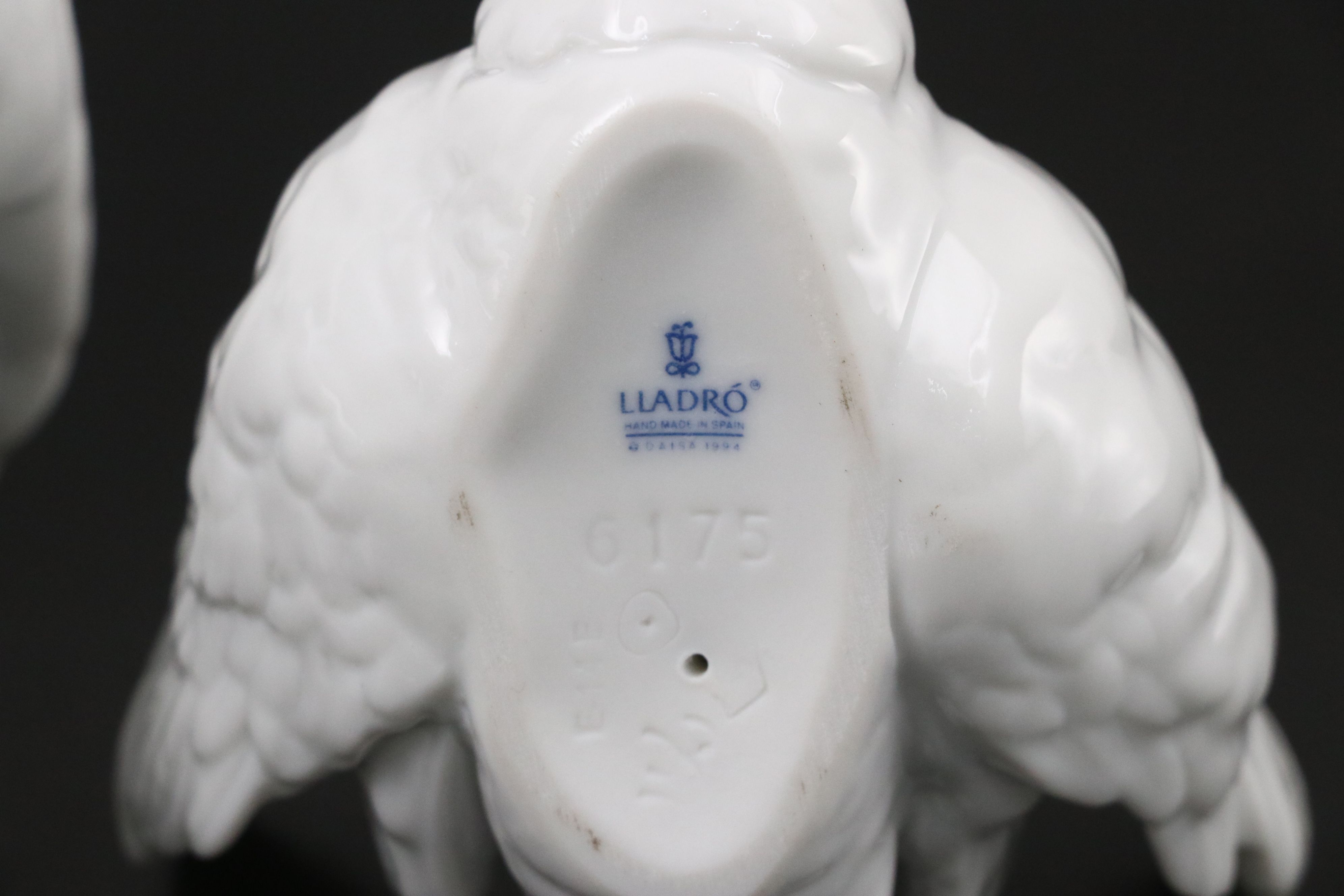 Lladró Porcelain Swan Figurines