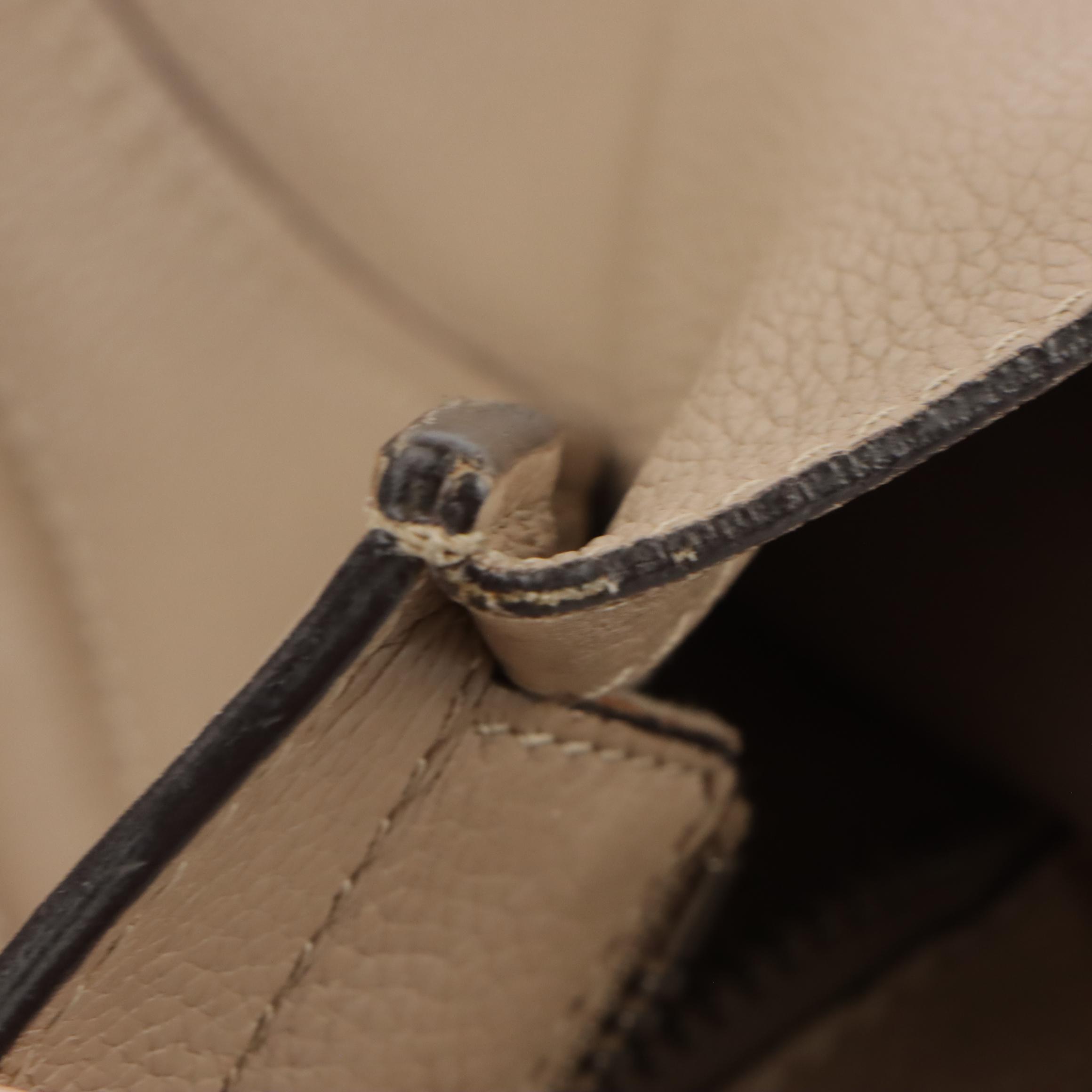 Celine Mini Luggage Tote in Taupe Calfskin Leather