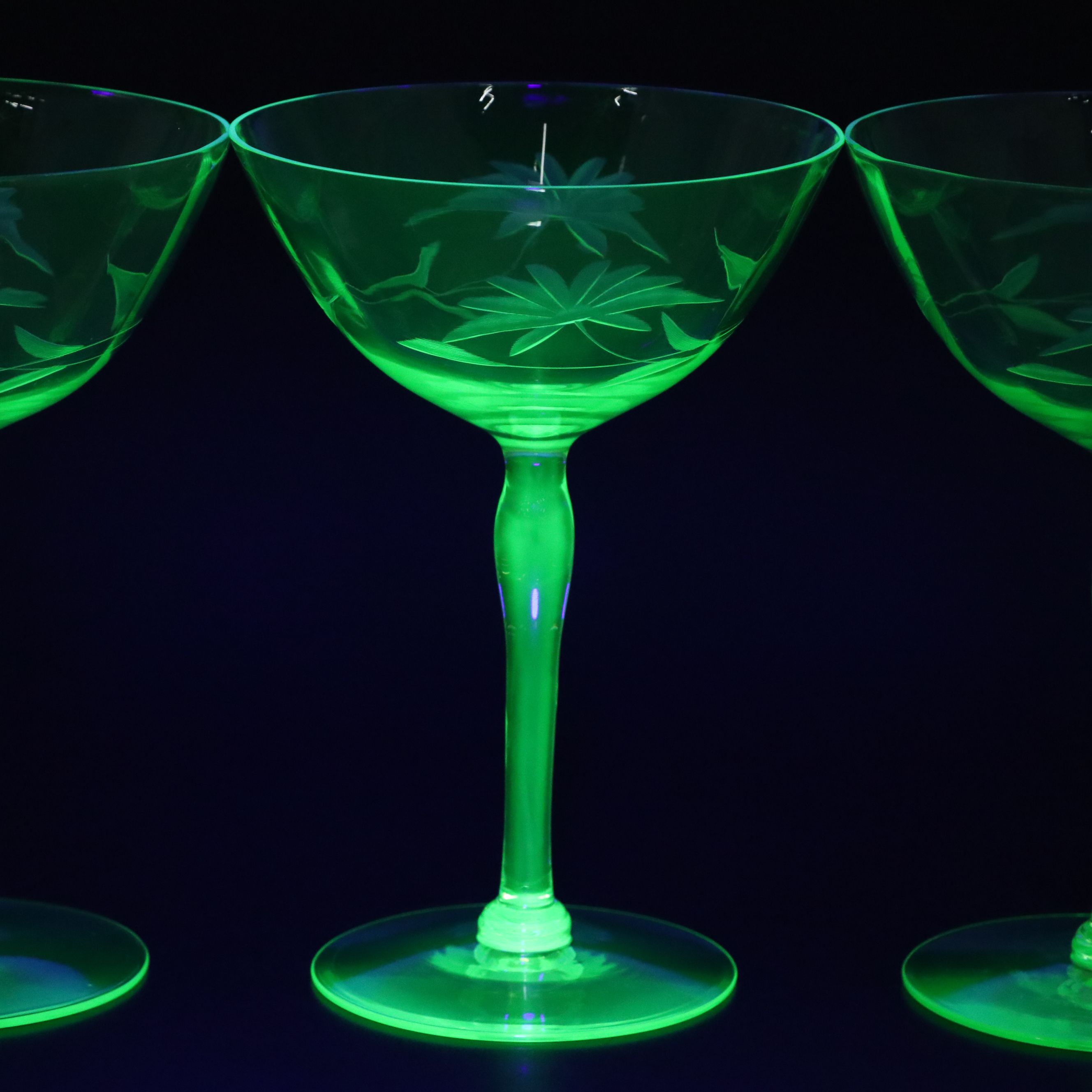 Floral Etched Uranium Glass Champagne Coupes