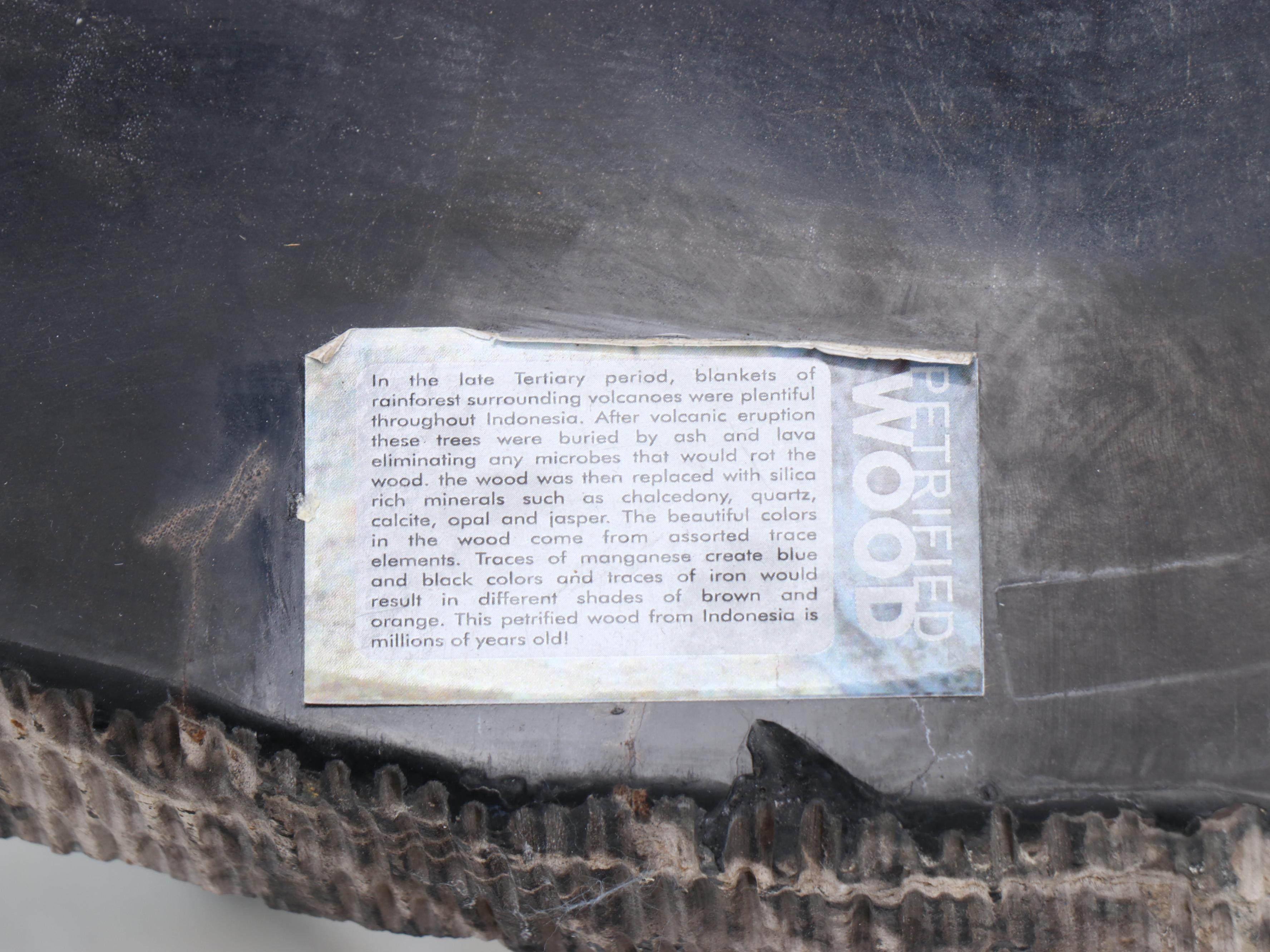 Petrified Wood Slab Table