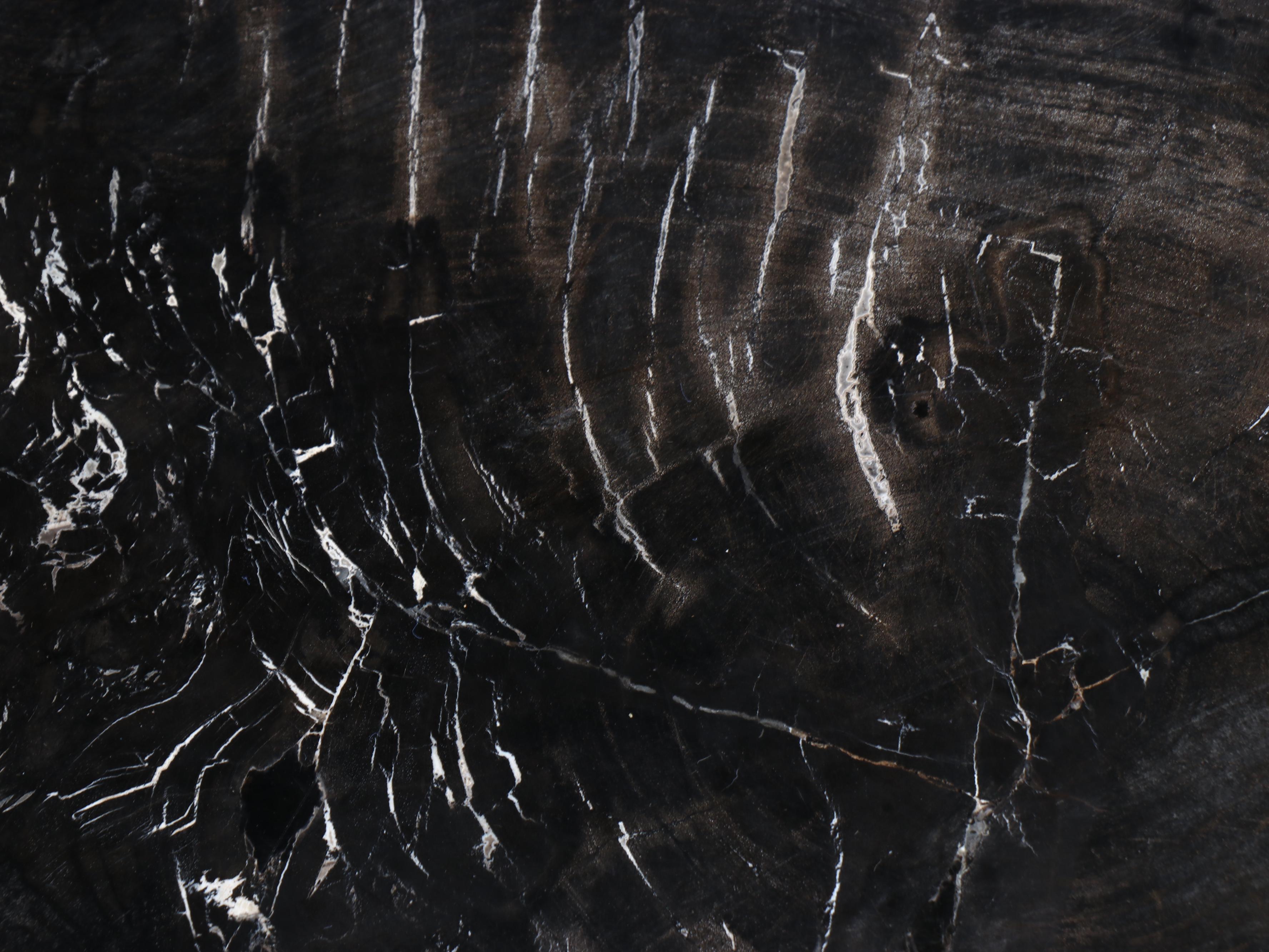 Petrified Wood Slab Table