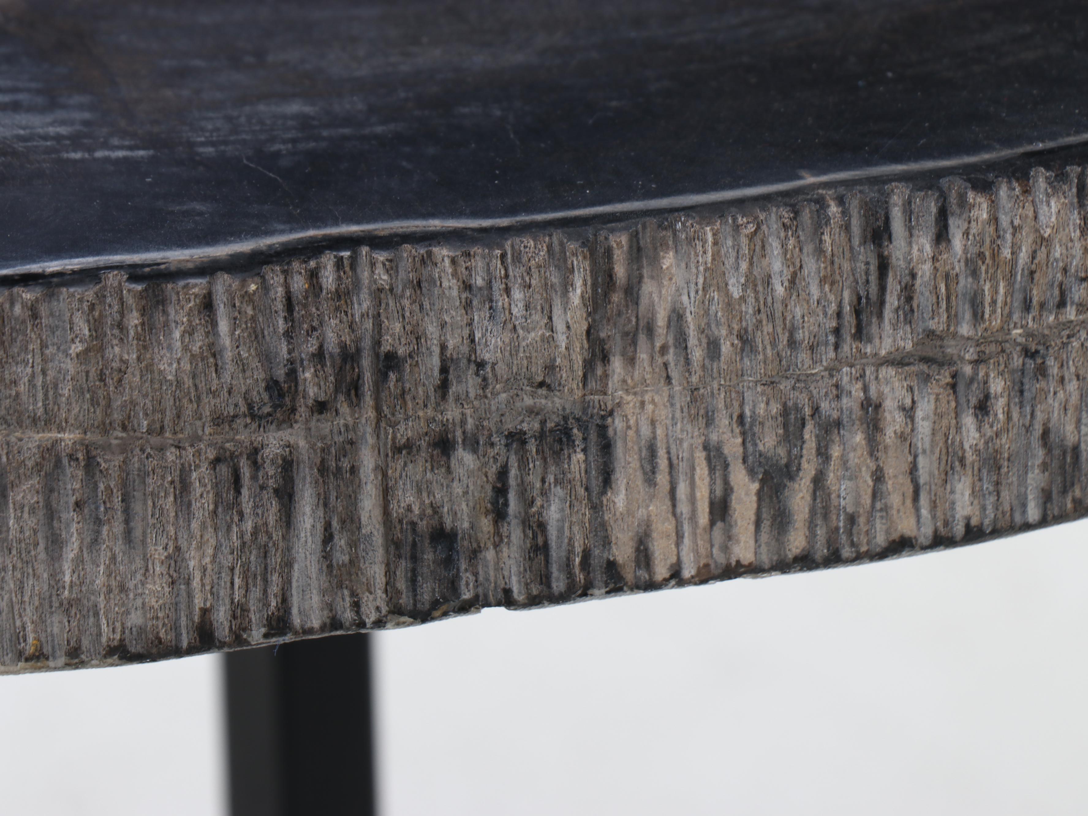 Petrified Wood Slab Table