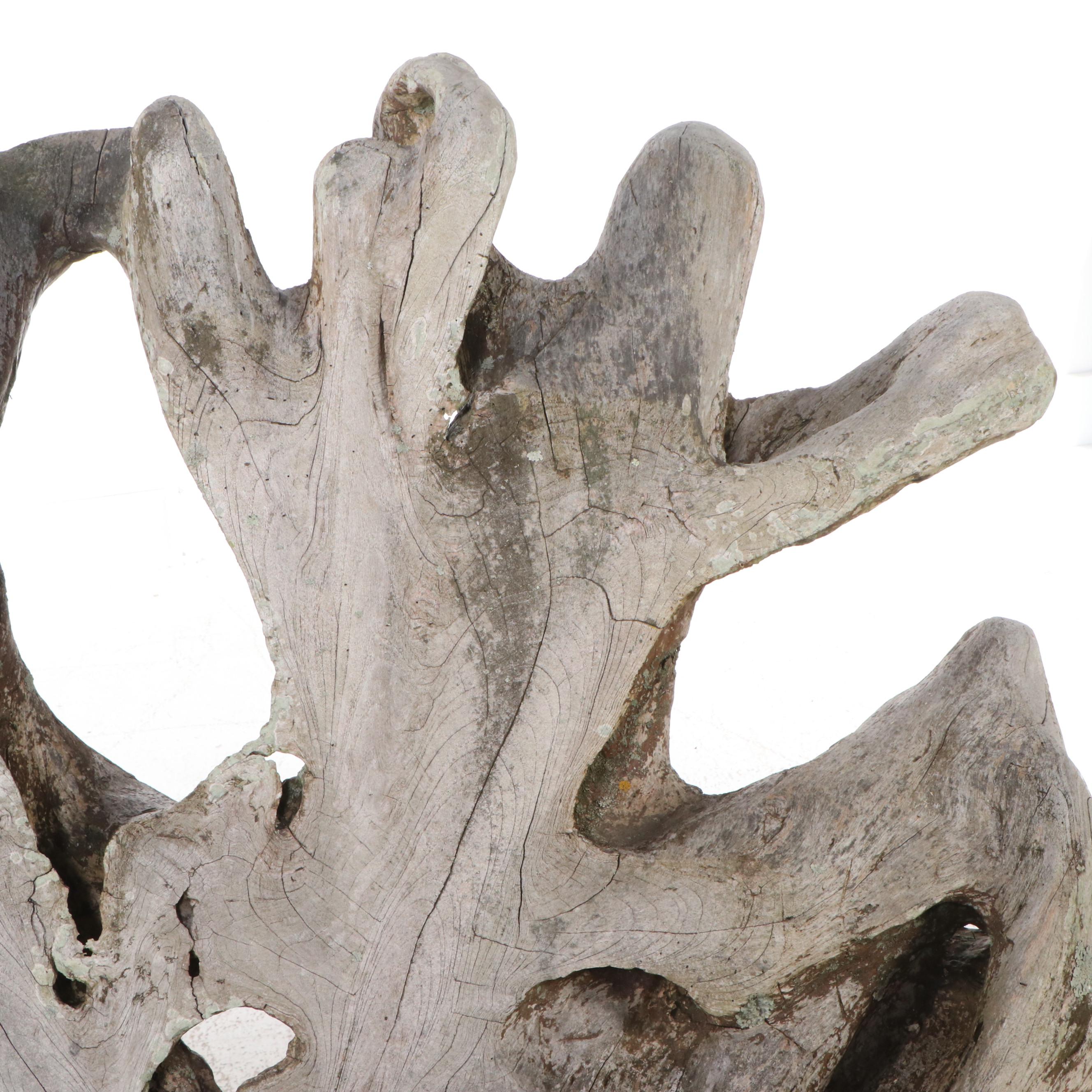 Teak Root Live Edge Accent Chair