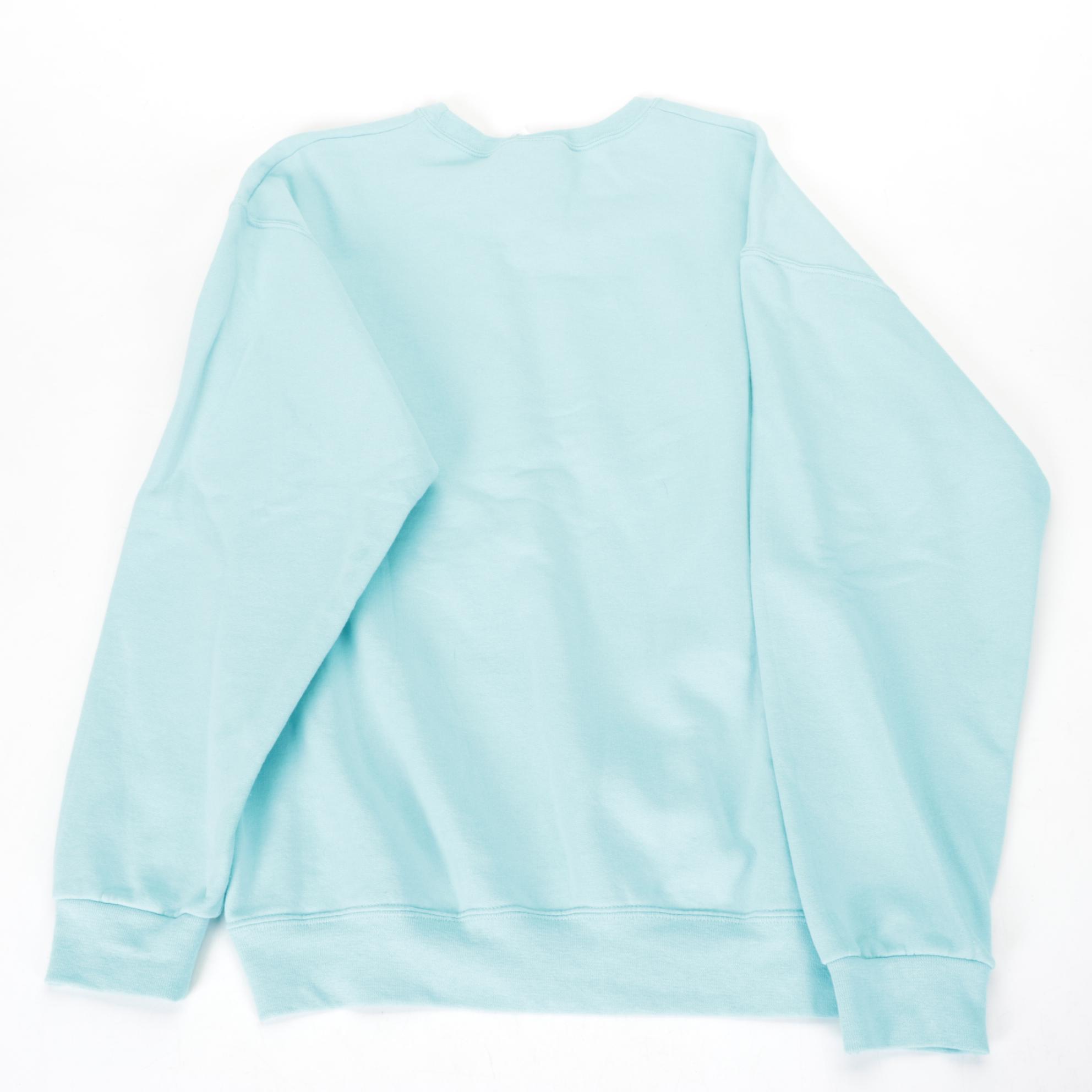 Winnie the Pooh, Smoky Mountains and Daytona Beach Crew Neck Sweatshirts