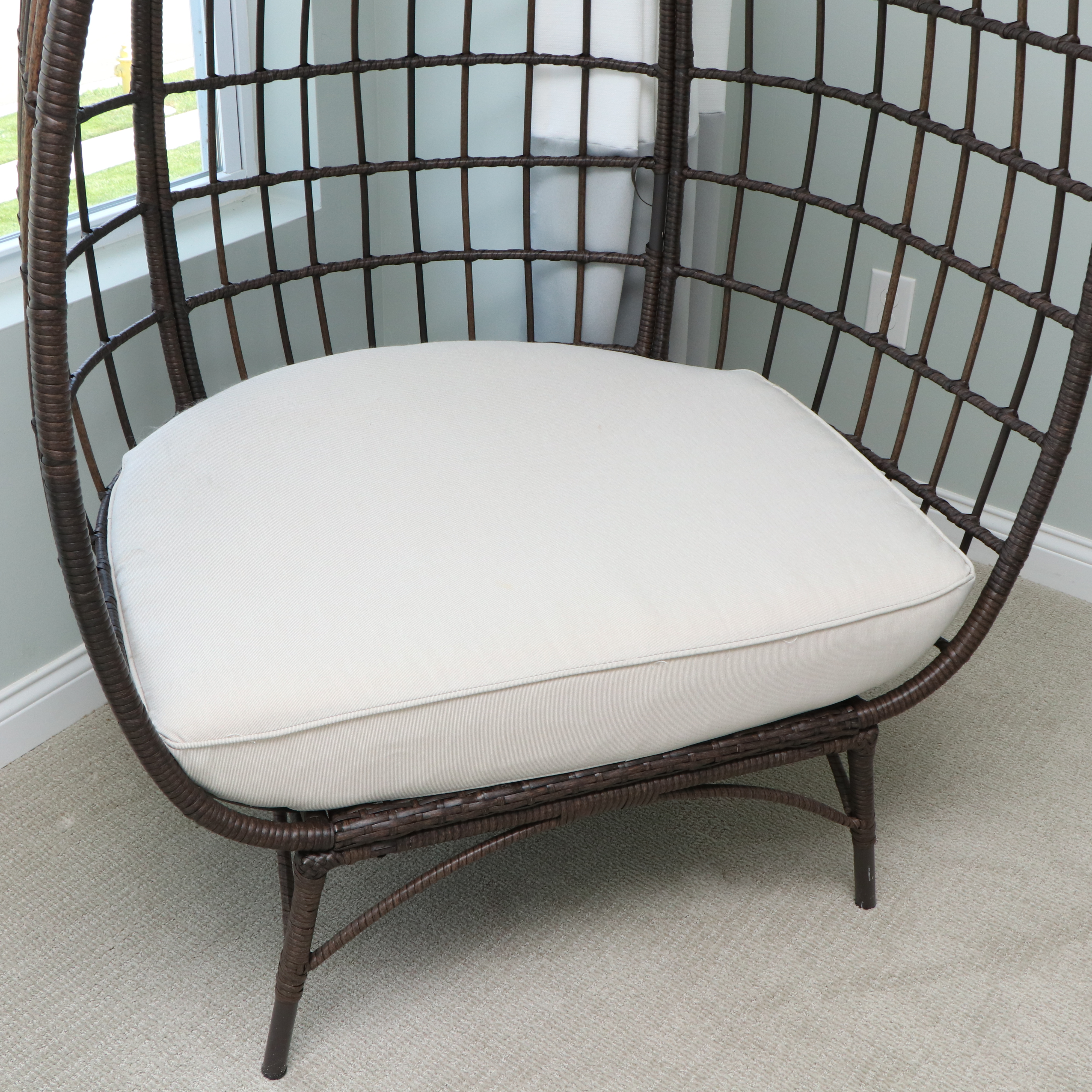 PE Rattan Egg Chair with Faux Fur Pillows