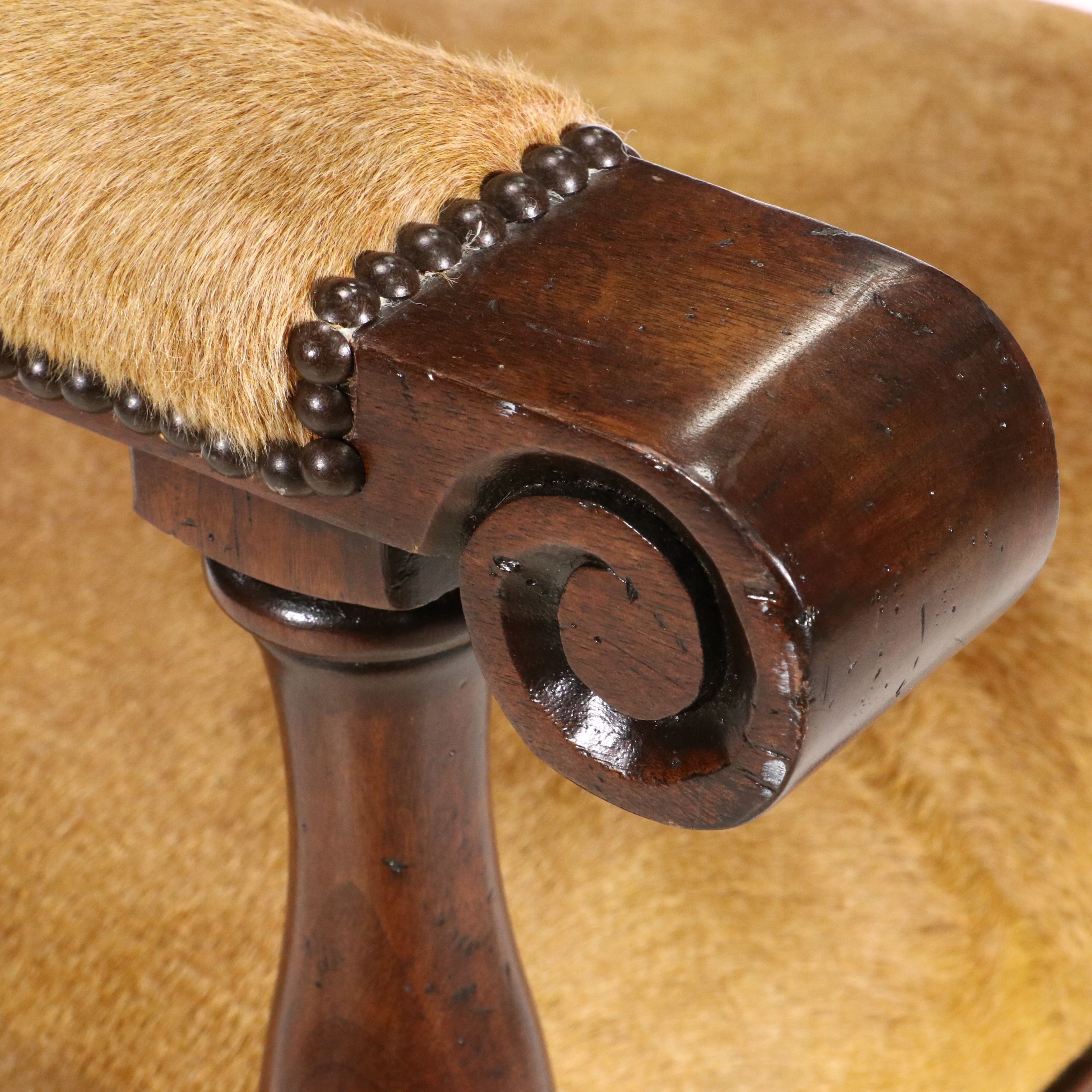 Gothic Revival Style Hide Upholstered and Mahogany Horseshoe Back Armchair