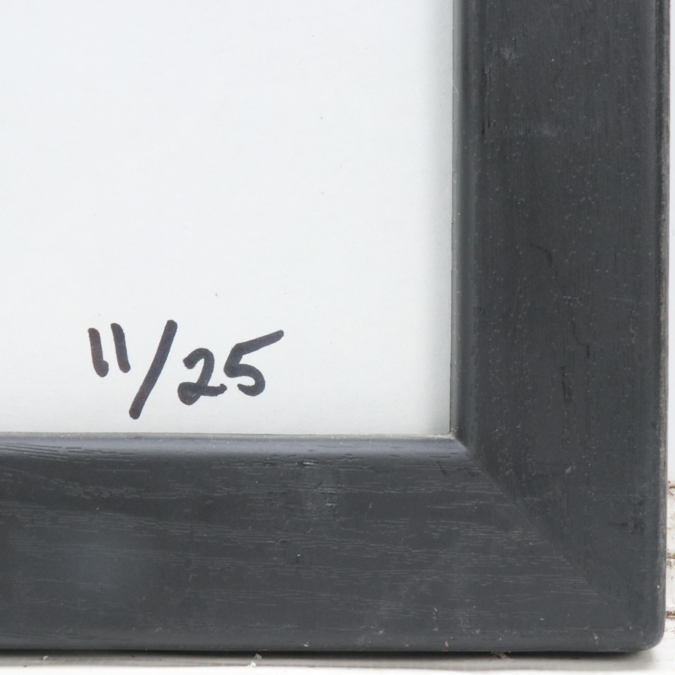 Ronald McDonald House Charities Digital Photograph and Textile, 2011