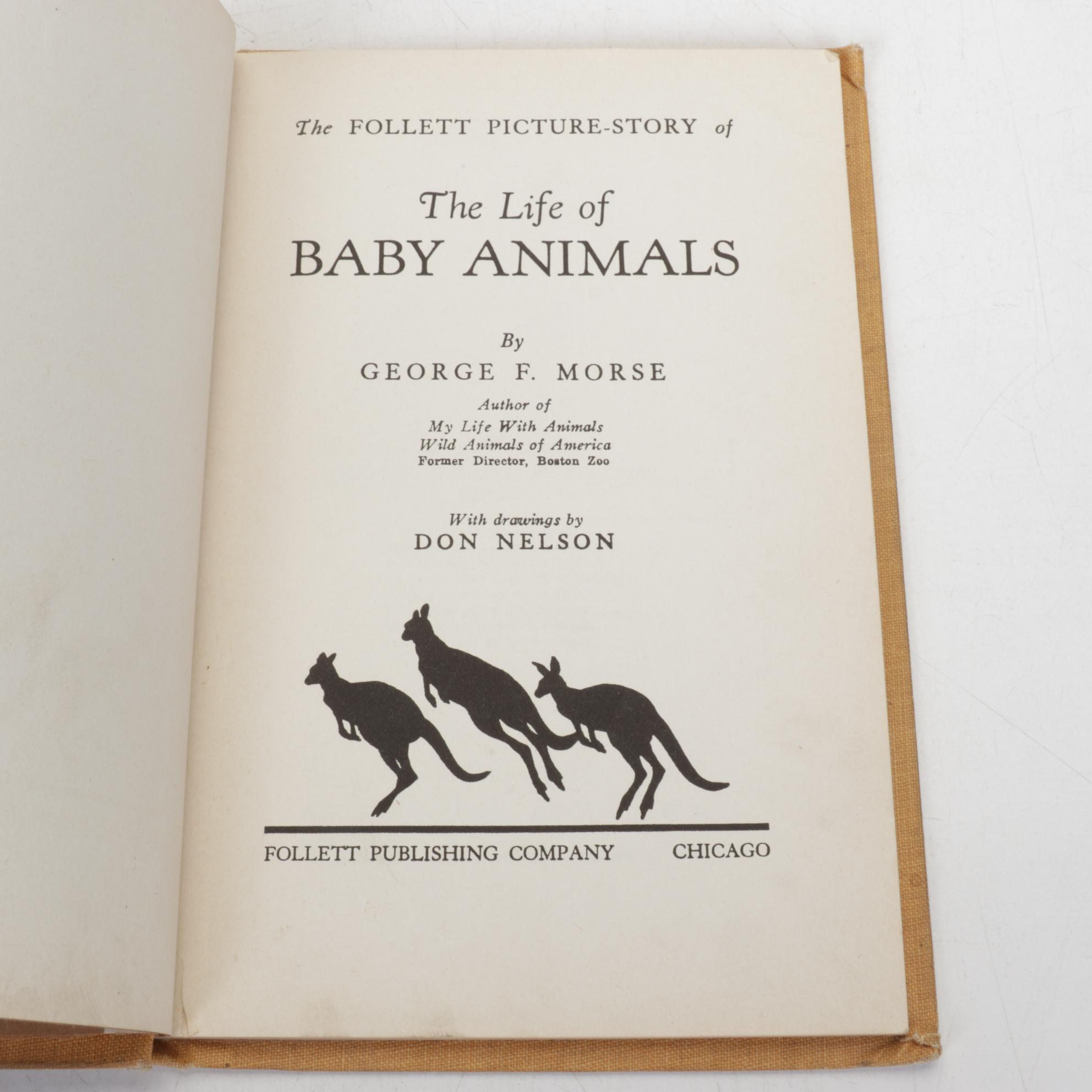 Honeybunch & Norman, Little Orphan Annie & Other Children's Books