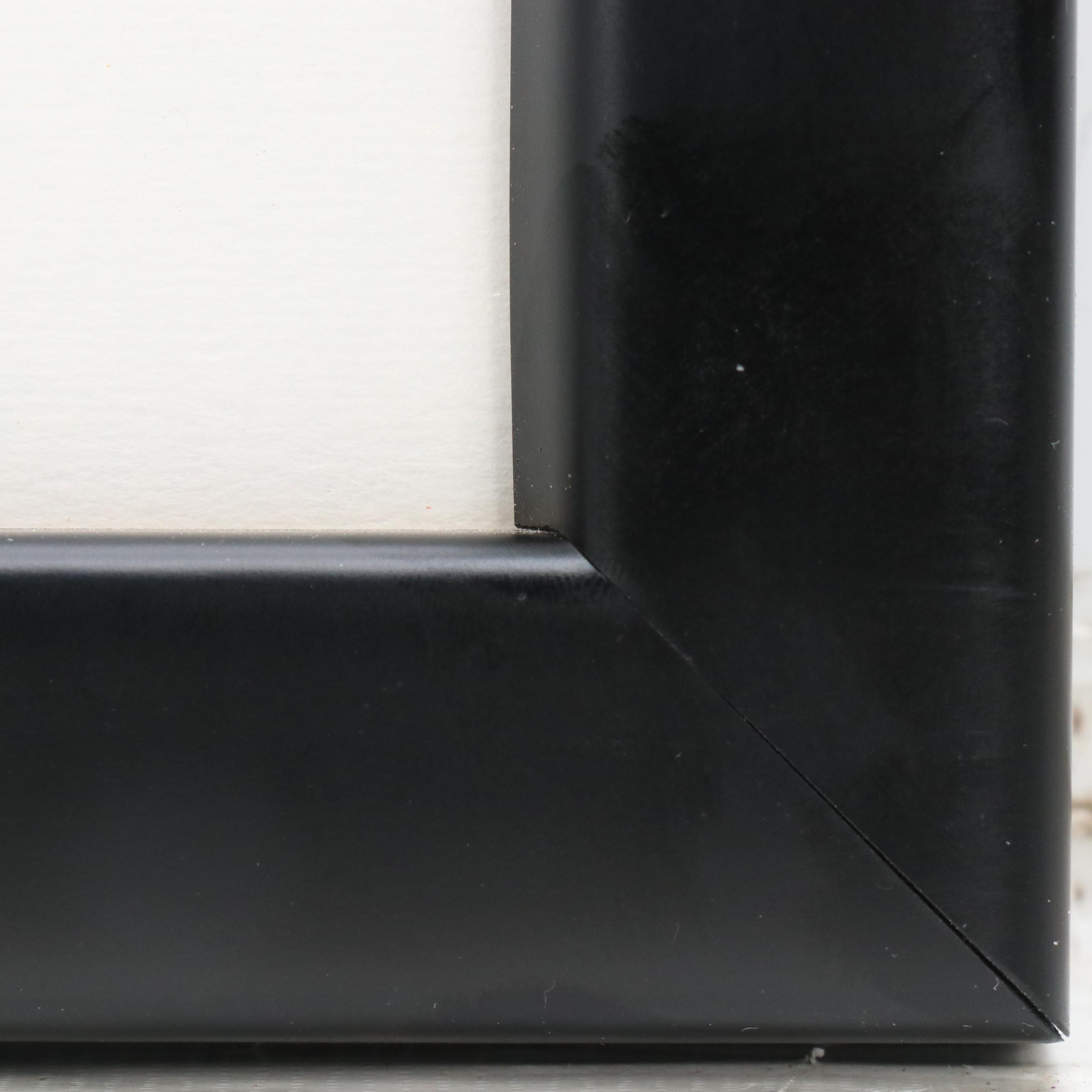 Warner Bros. Bugs Bunny and Daffy Duck Sericel "1994 Academy Awards," 1995