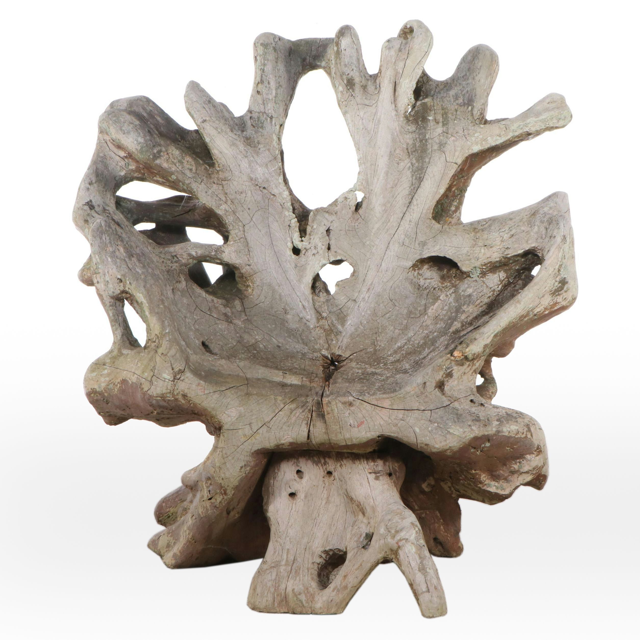 Teak Root Live Edge Accent Chair