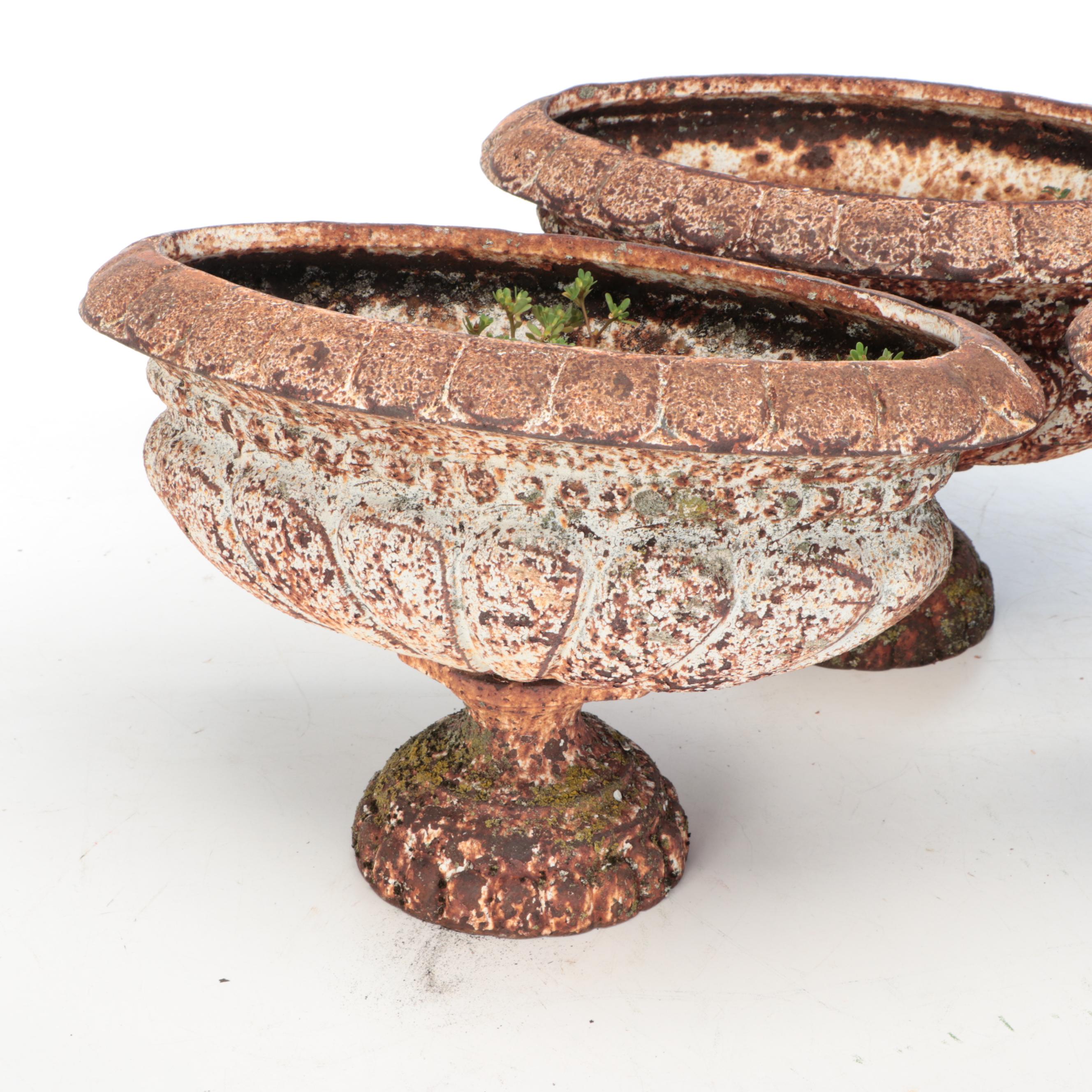 Neoclassical Style Cast Iron Urn Planters