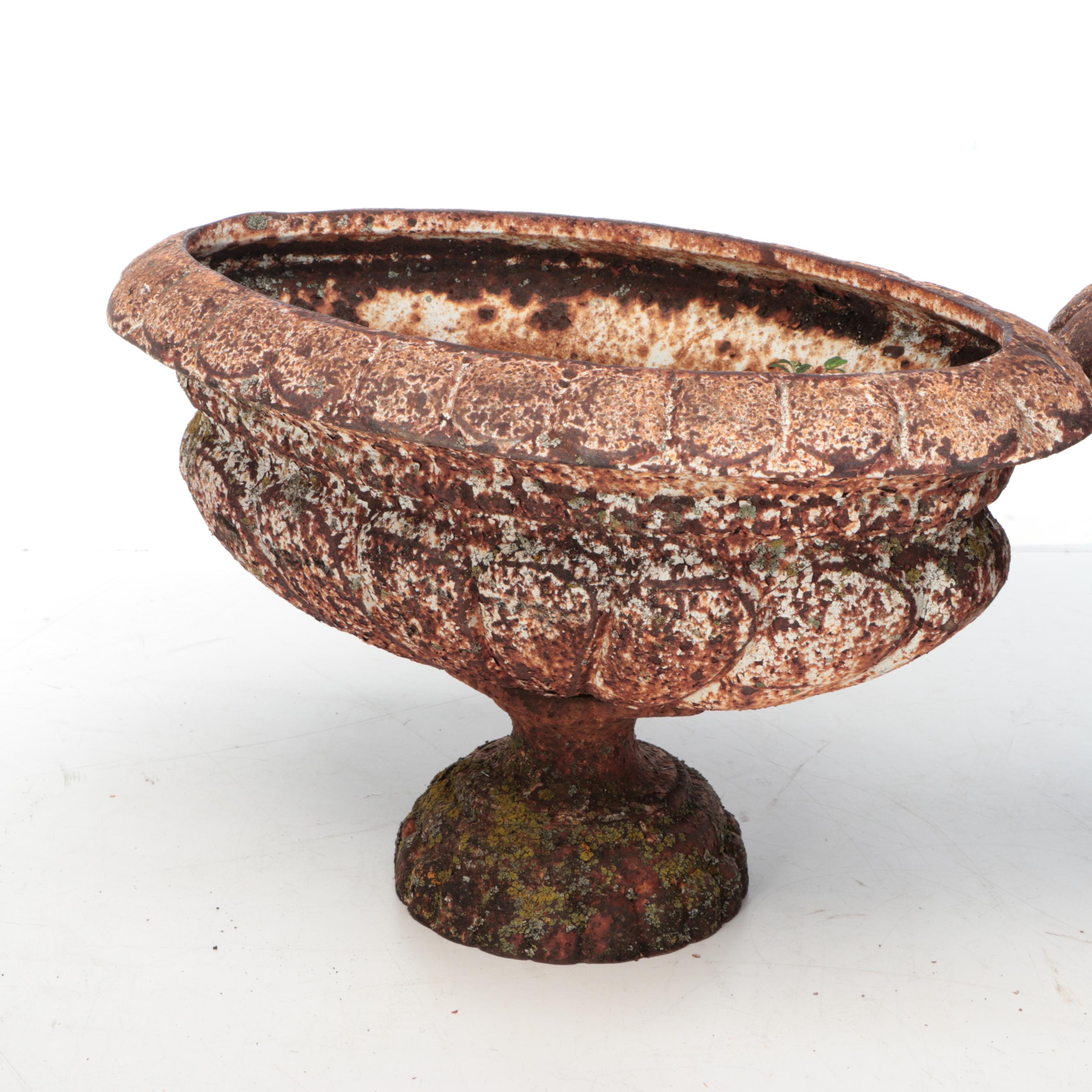 Neoclassical Style Cast Iron Urn Planters