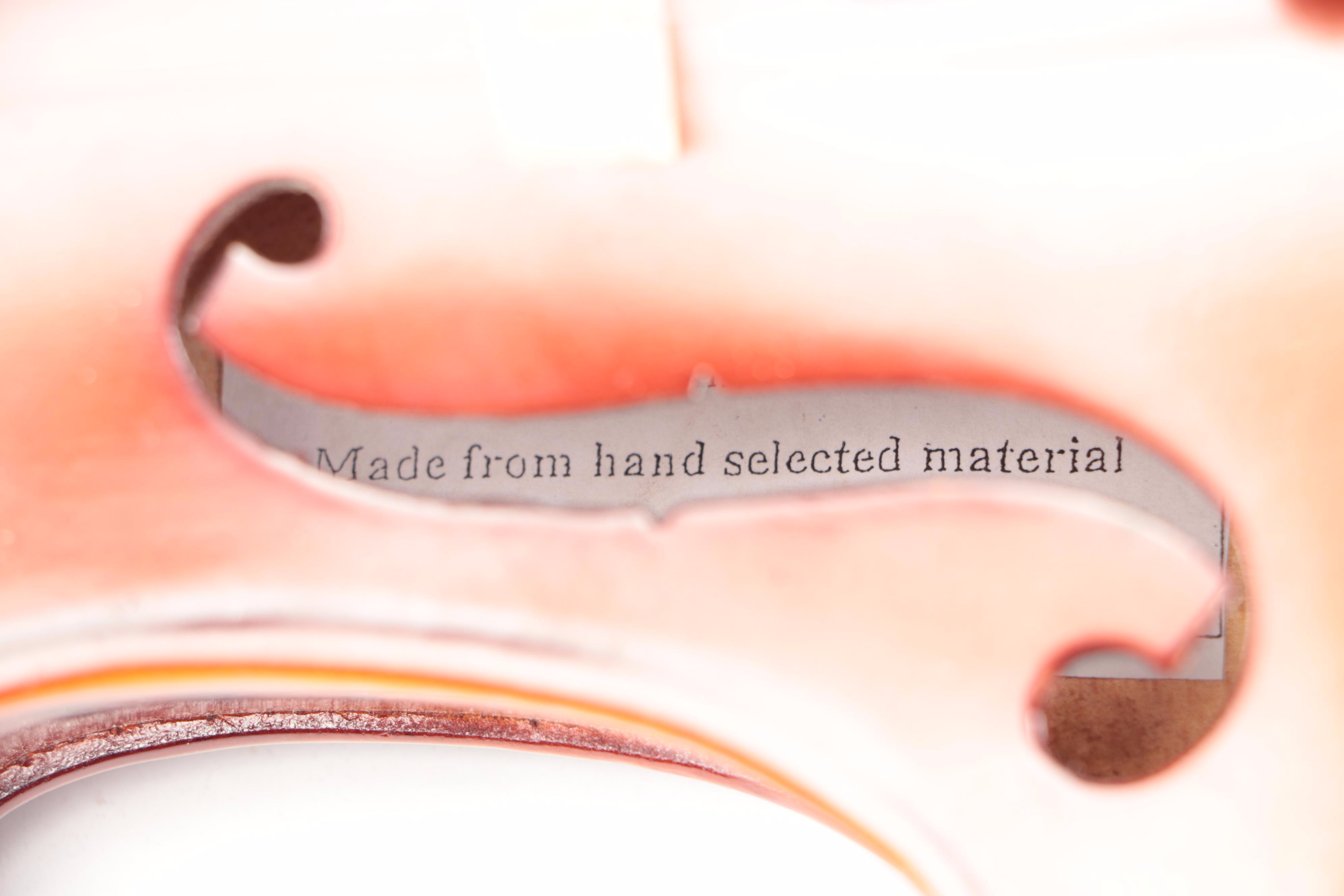 Rothenberg Violin with Pickup, Canvas Travel Case and Accessories