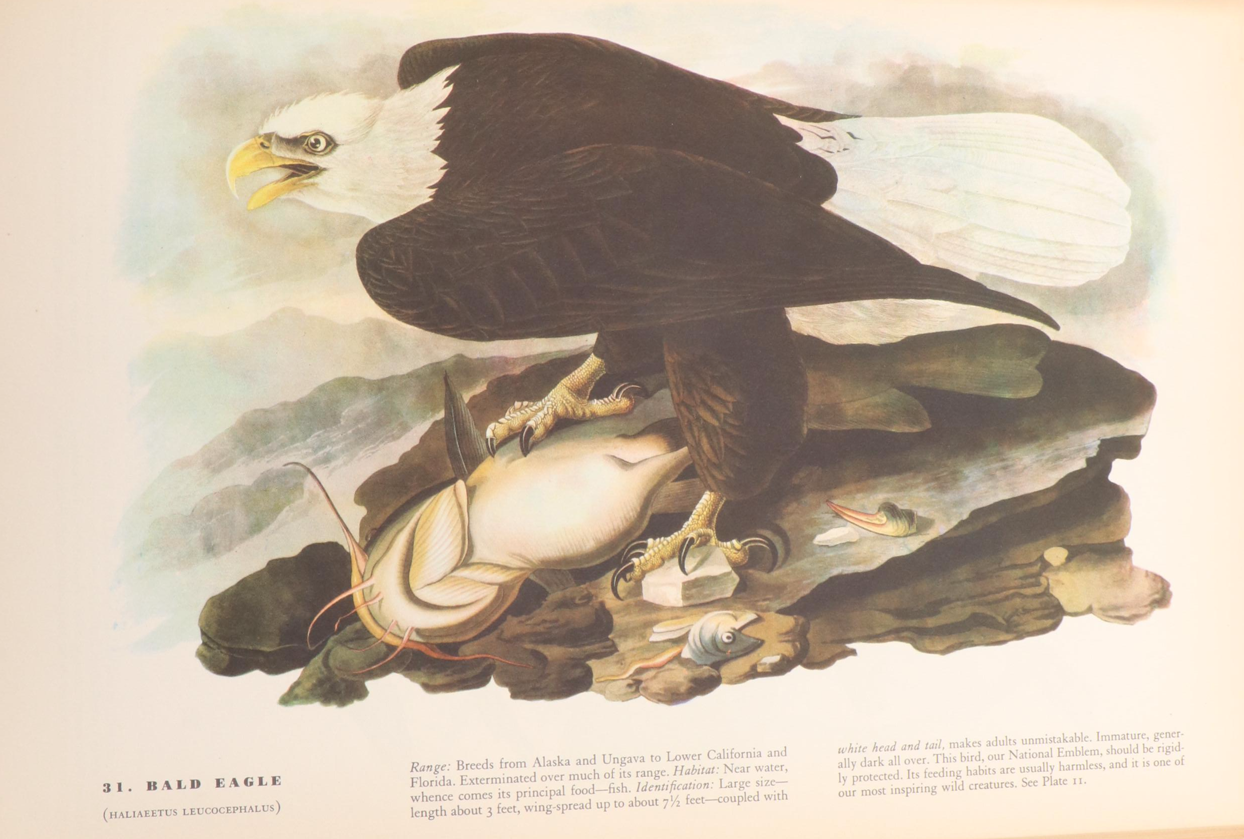 First Edition "The Birds of America" by John James Audubon, 1937