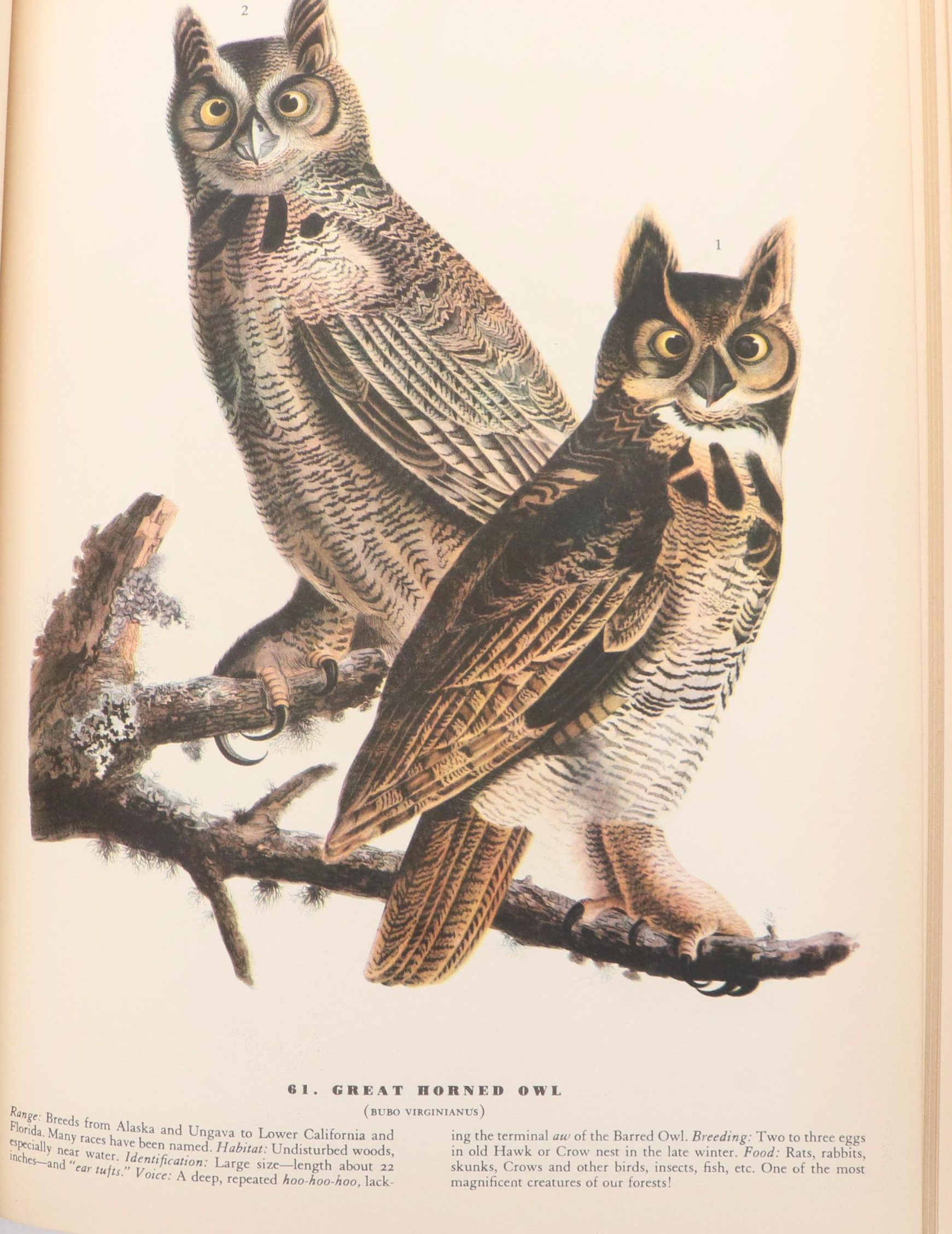 First Edition "The Birds of America" by John James Audubon, 1937