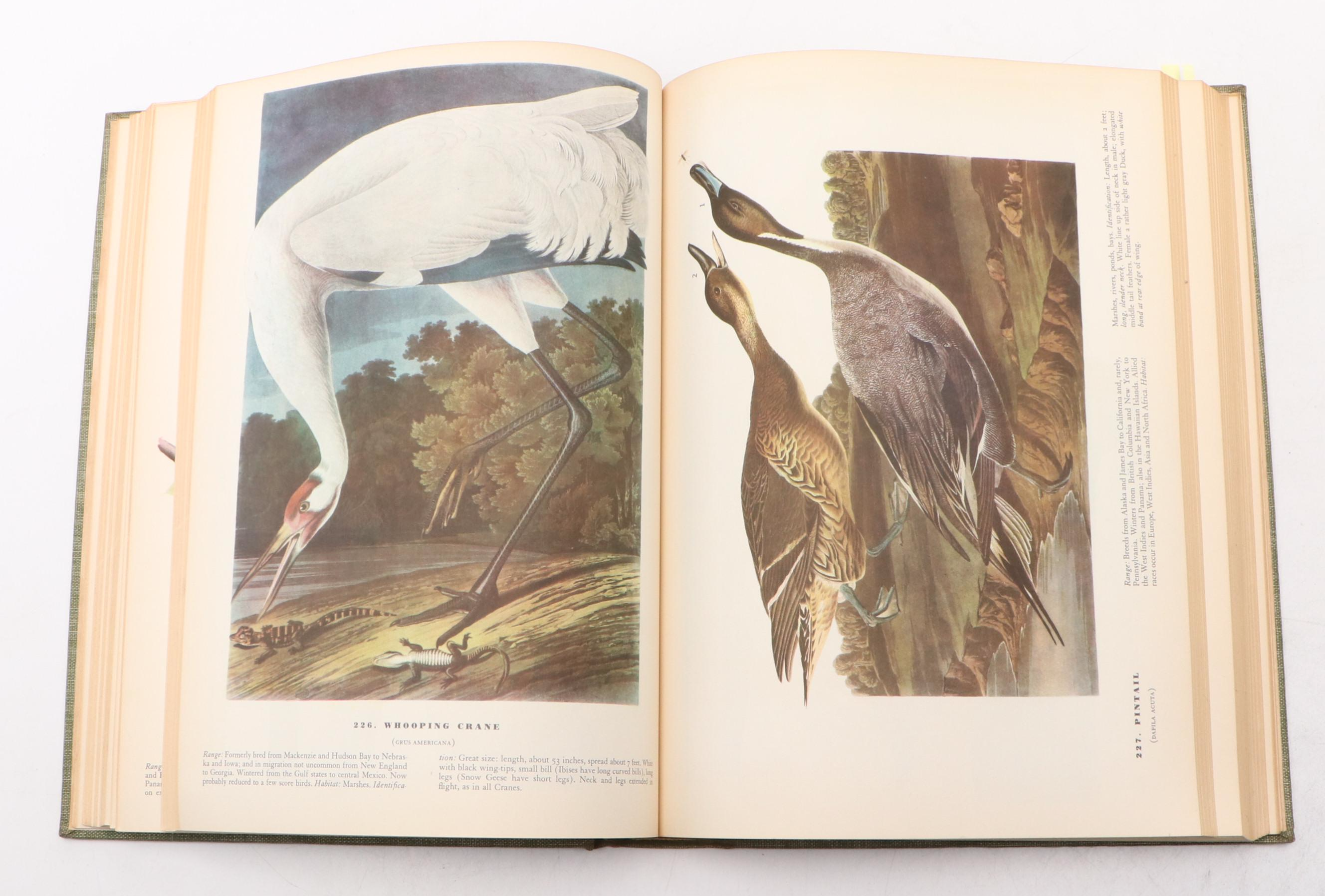 First Edition "The Birds of America" by John James Audubon, 1937