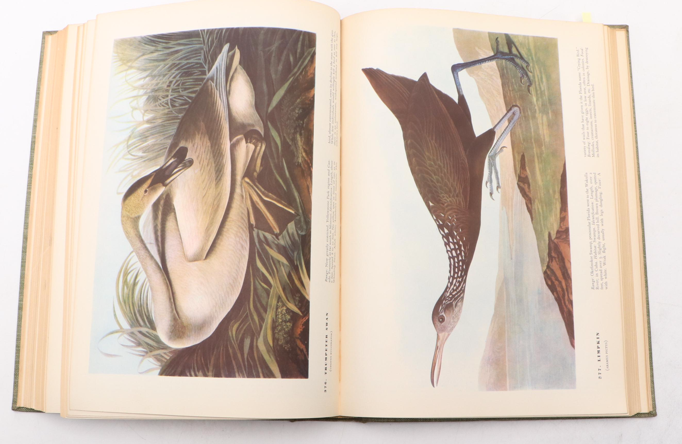 First Edition "The Birds of America" by John James Audubon, 1937