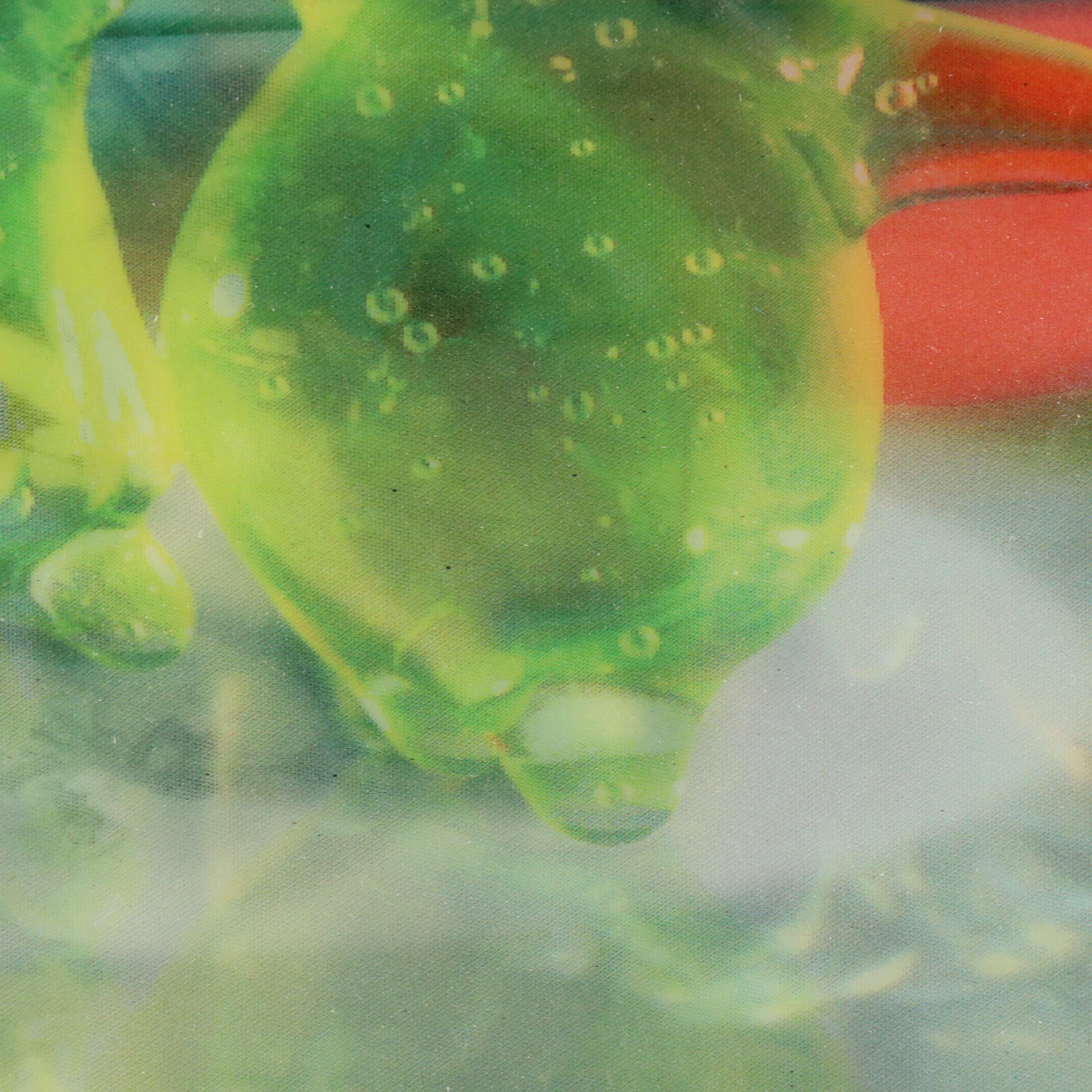 The Disney Store "Flubber" Commemorative Lenticular Print